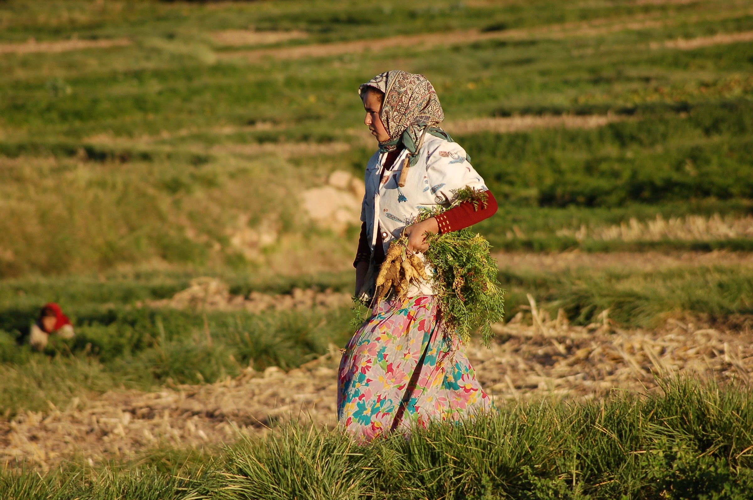 Una contadina in un fertile campo coltivato