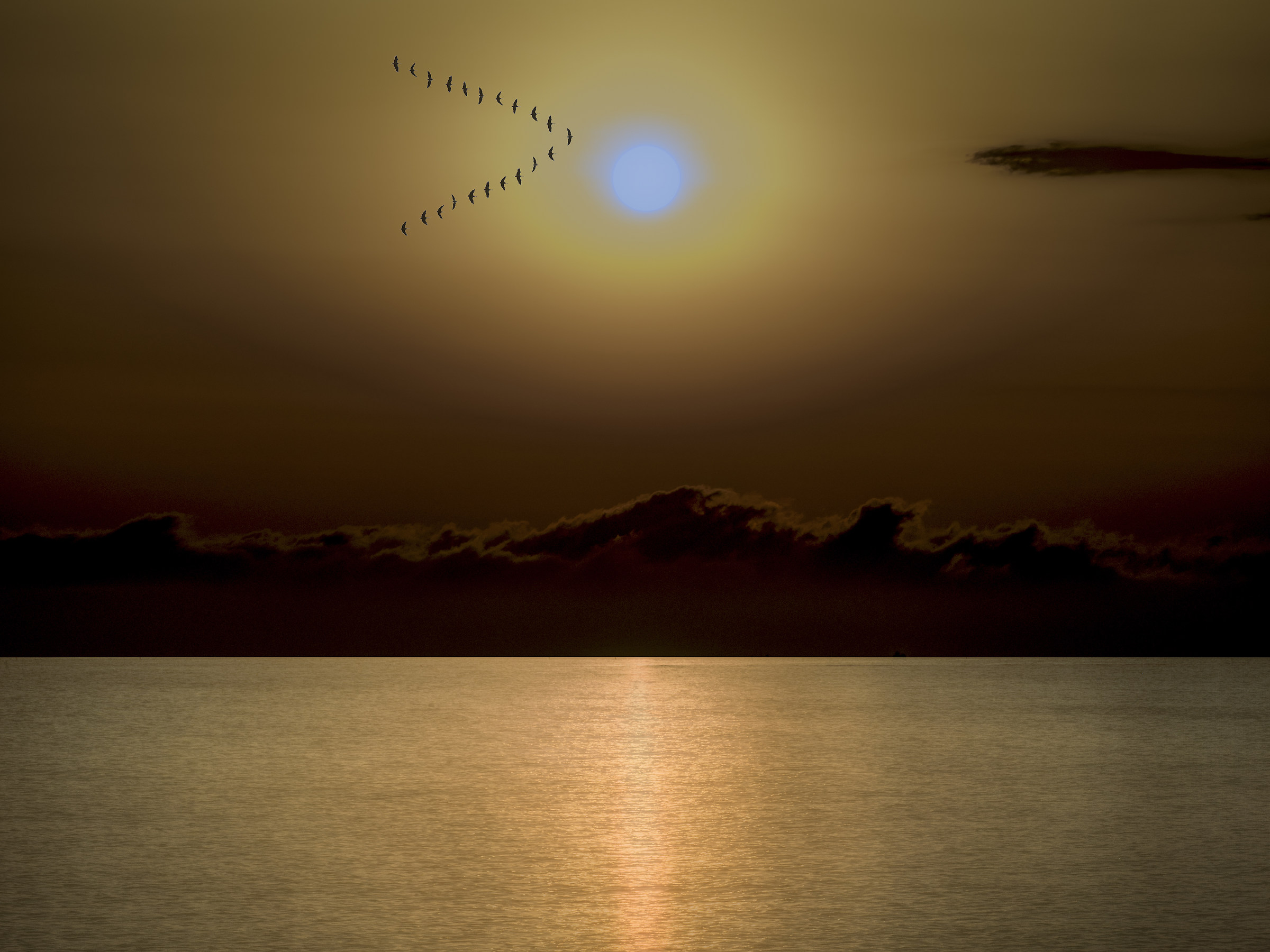 Fly.... Fly... higher than the sun