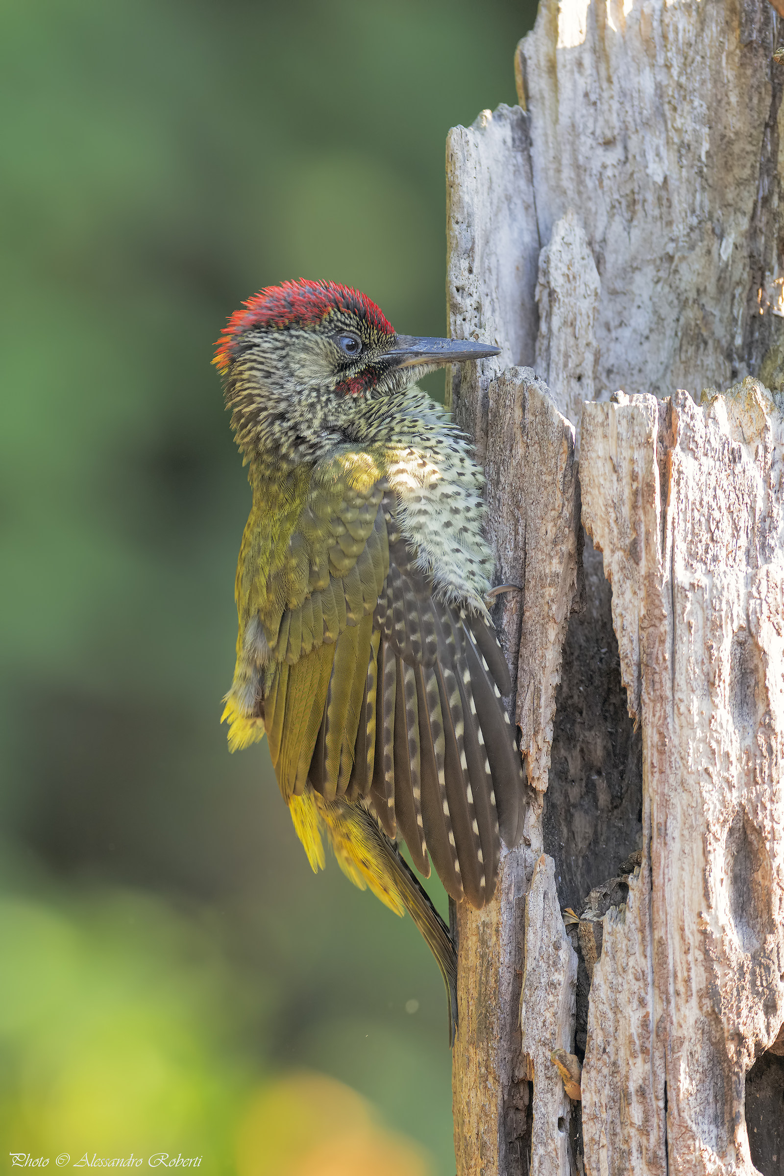 Relax dopo il bagnetto