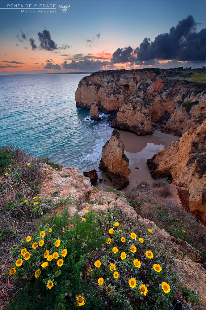 Ponta de pity - Portugal