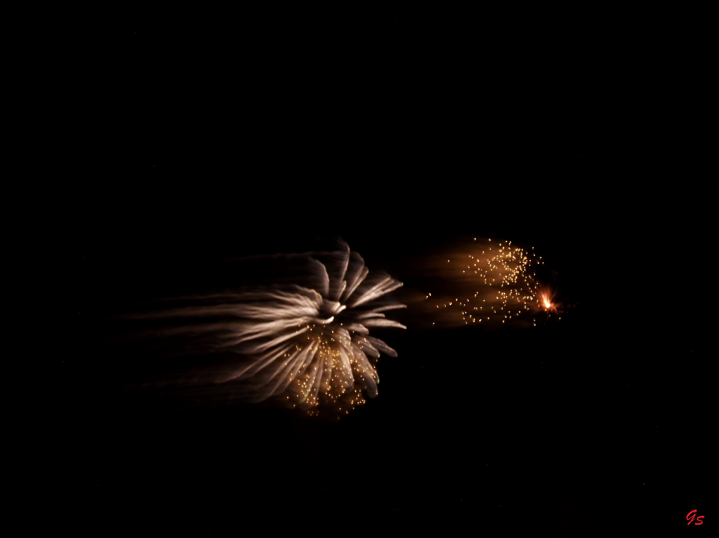 Festival of the brunette ' 18-6