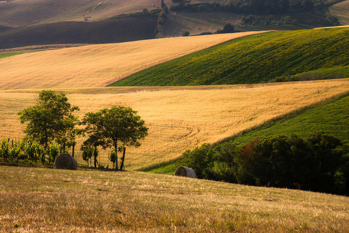 Il triangolo ...spuntato!