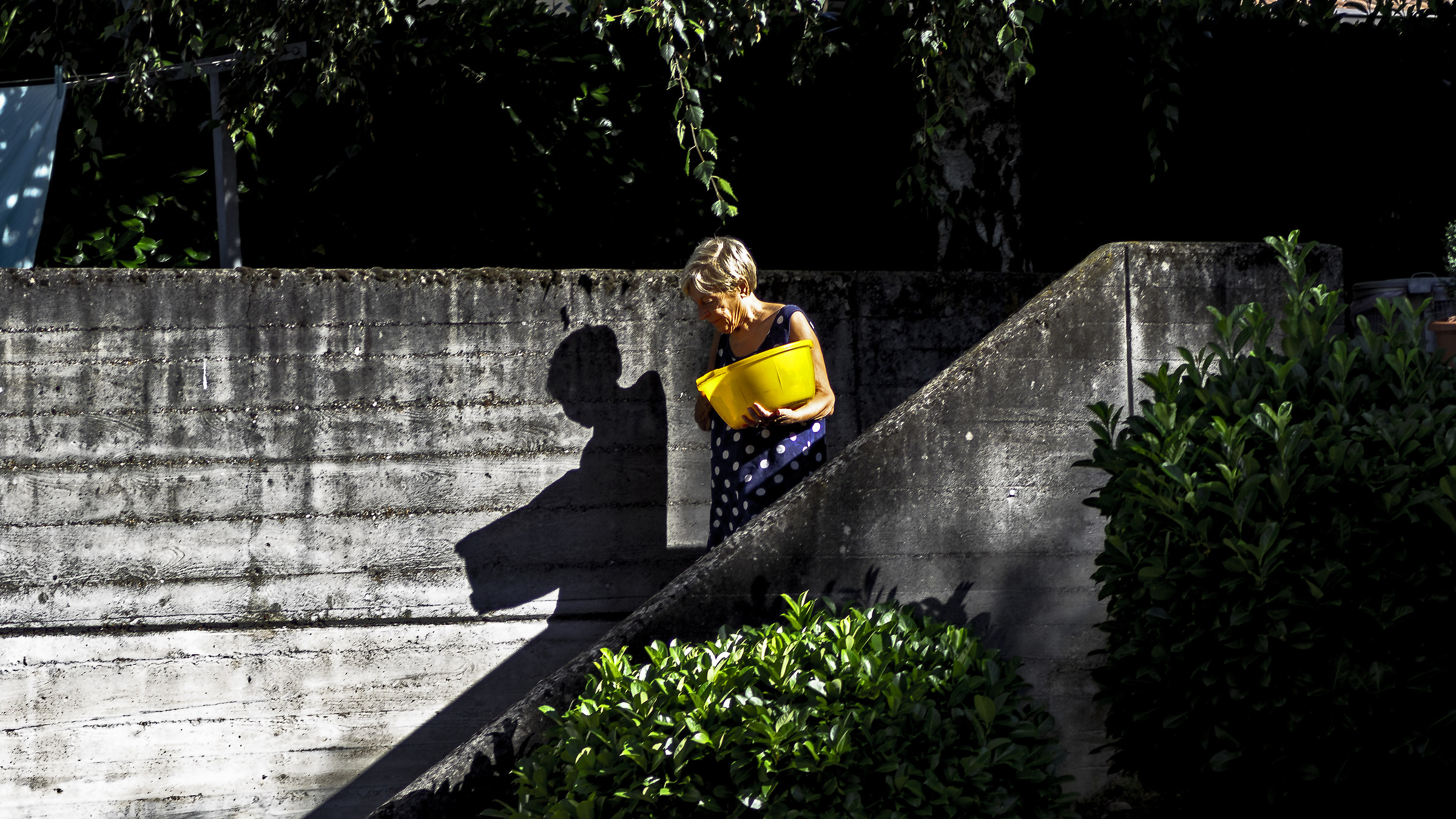 The beautiful Laundry