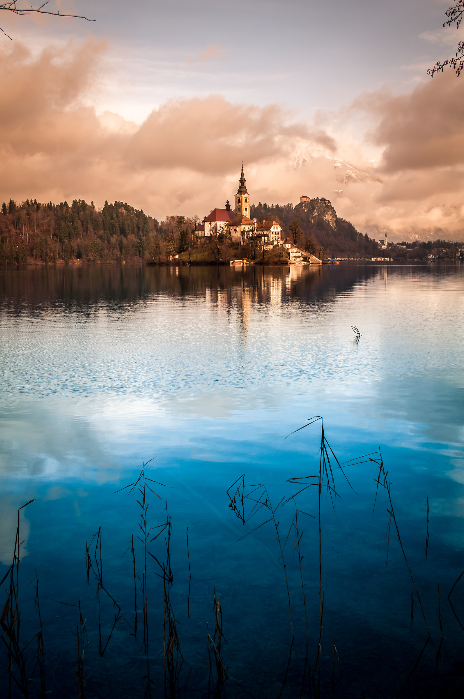 Bled