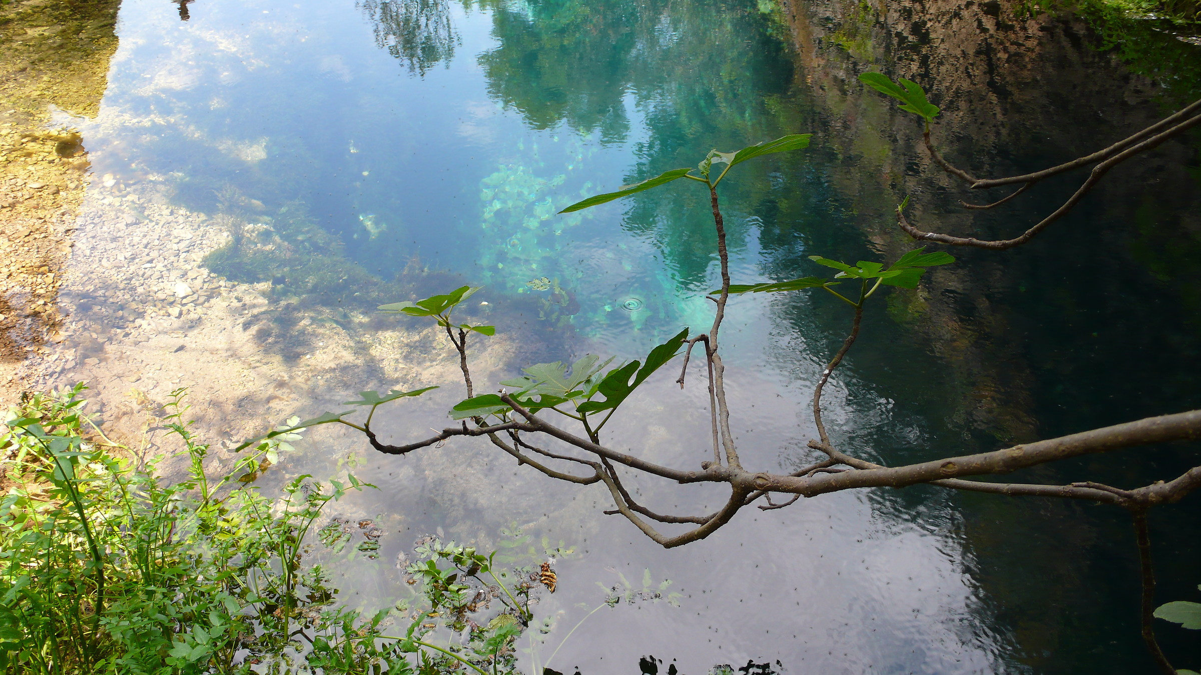 Reflections and transparencies