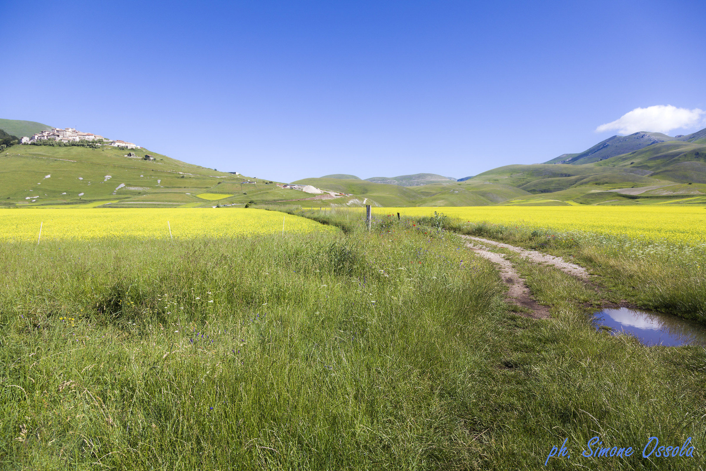 A tear reflected... for Castelluccio