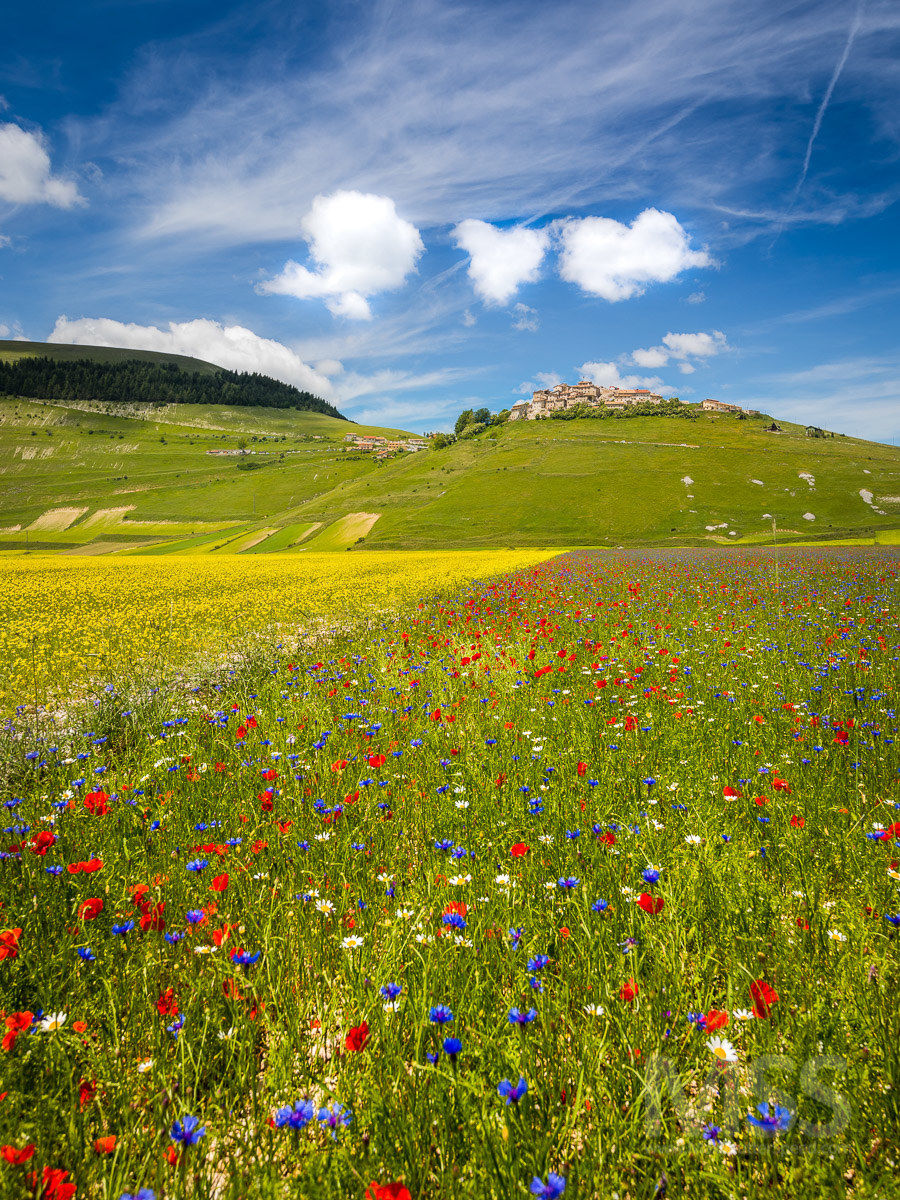 Tre cuori su Castelluccio