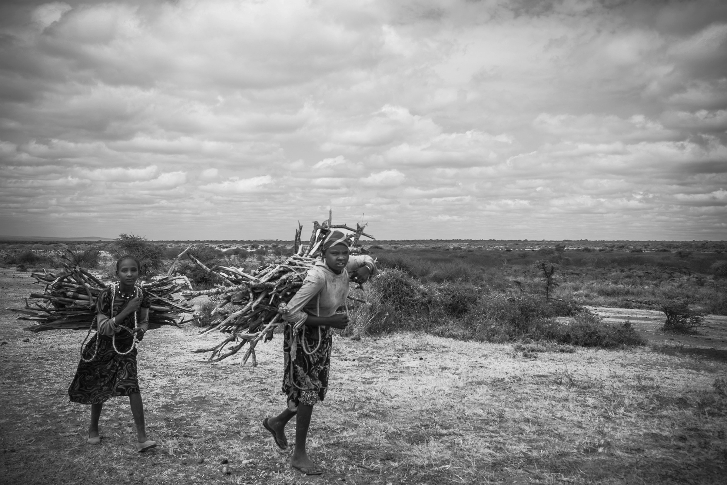 Land of Africa
