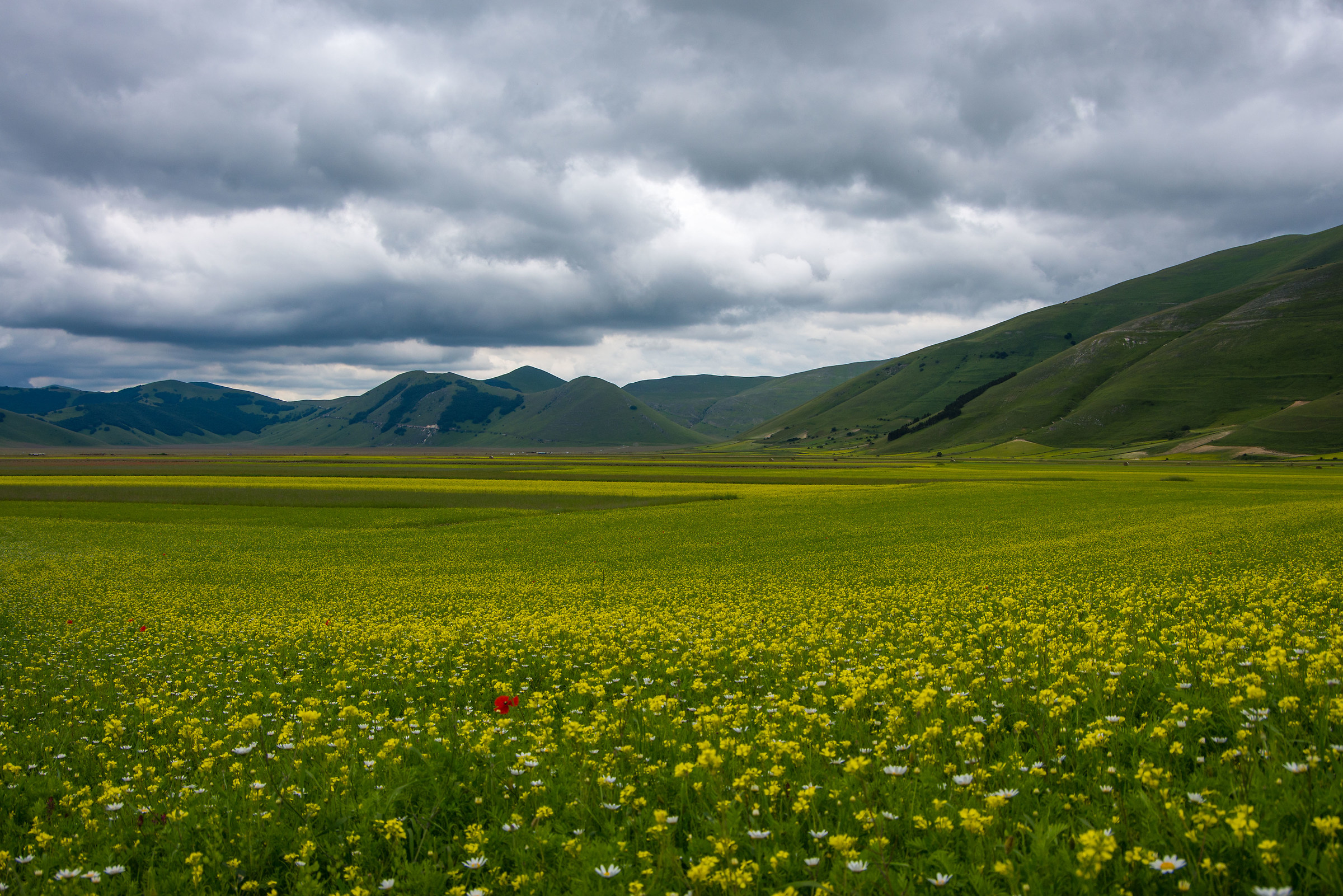 Mi sa che ho sbagliato campo