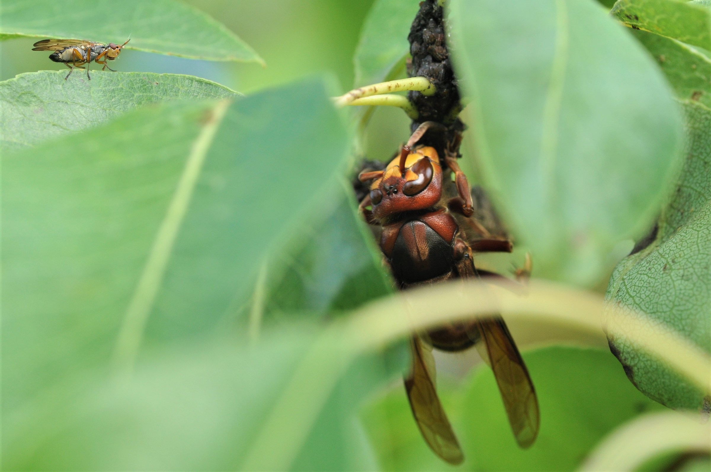 incontri ravvicinati