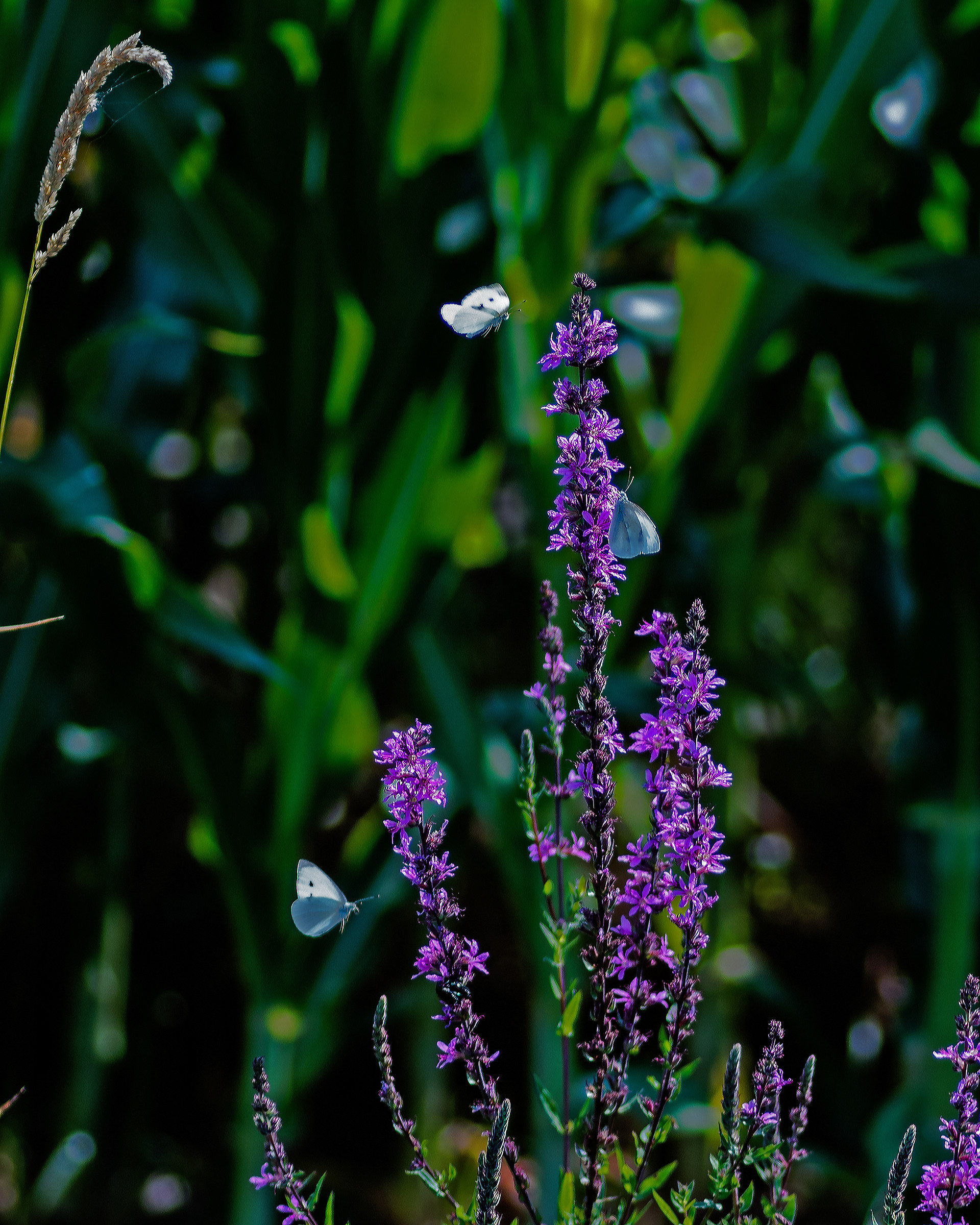 Aspettaci ci siamo anche noi