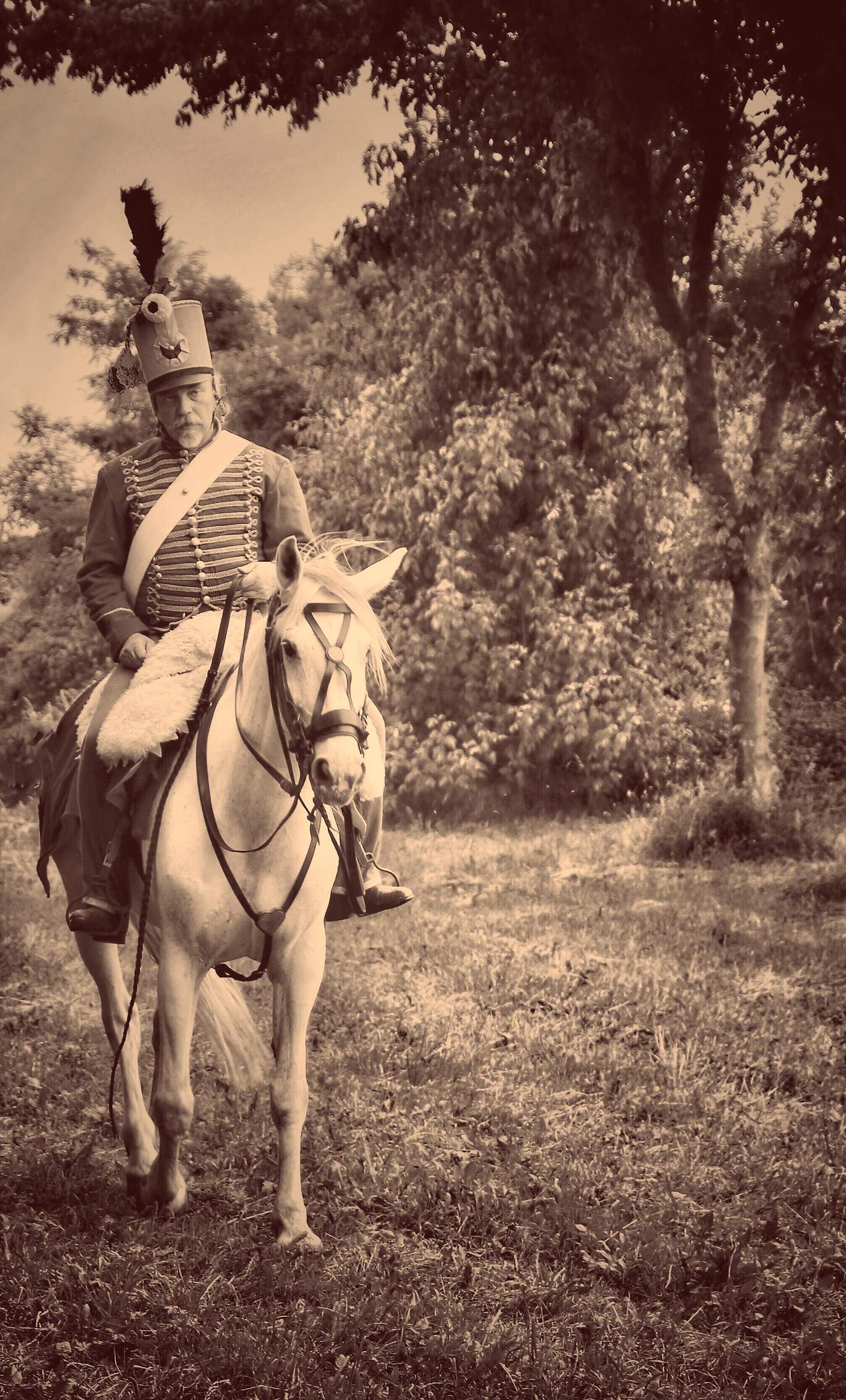 Cavalleggero in perlustrazione.