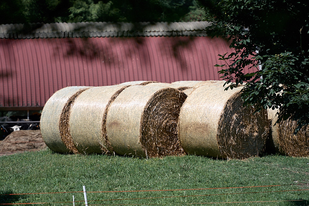 Hay bales