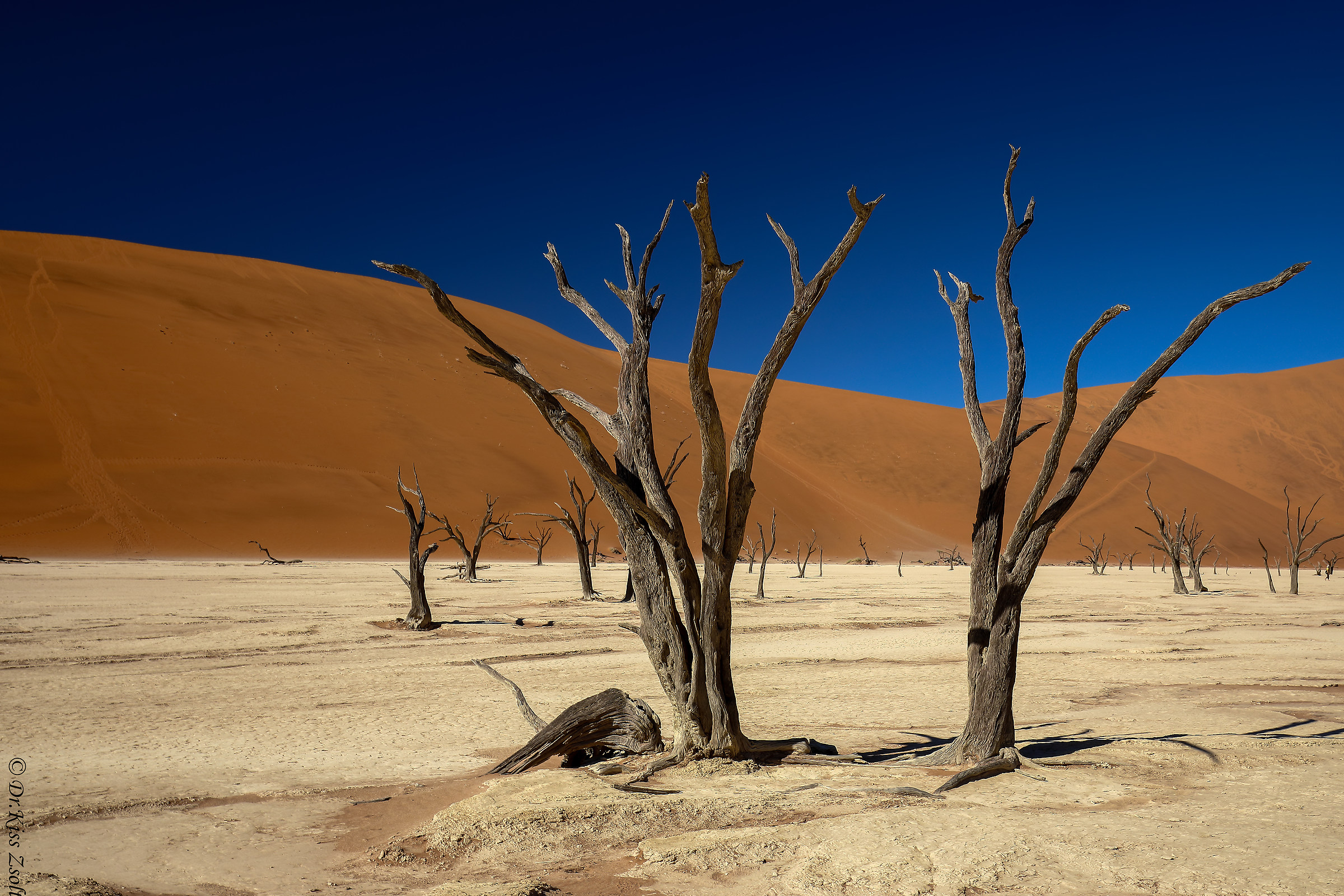 Dead acacia trees at Deadvlei