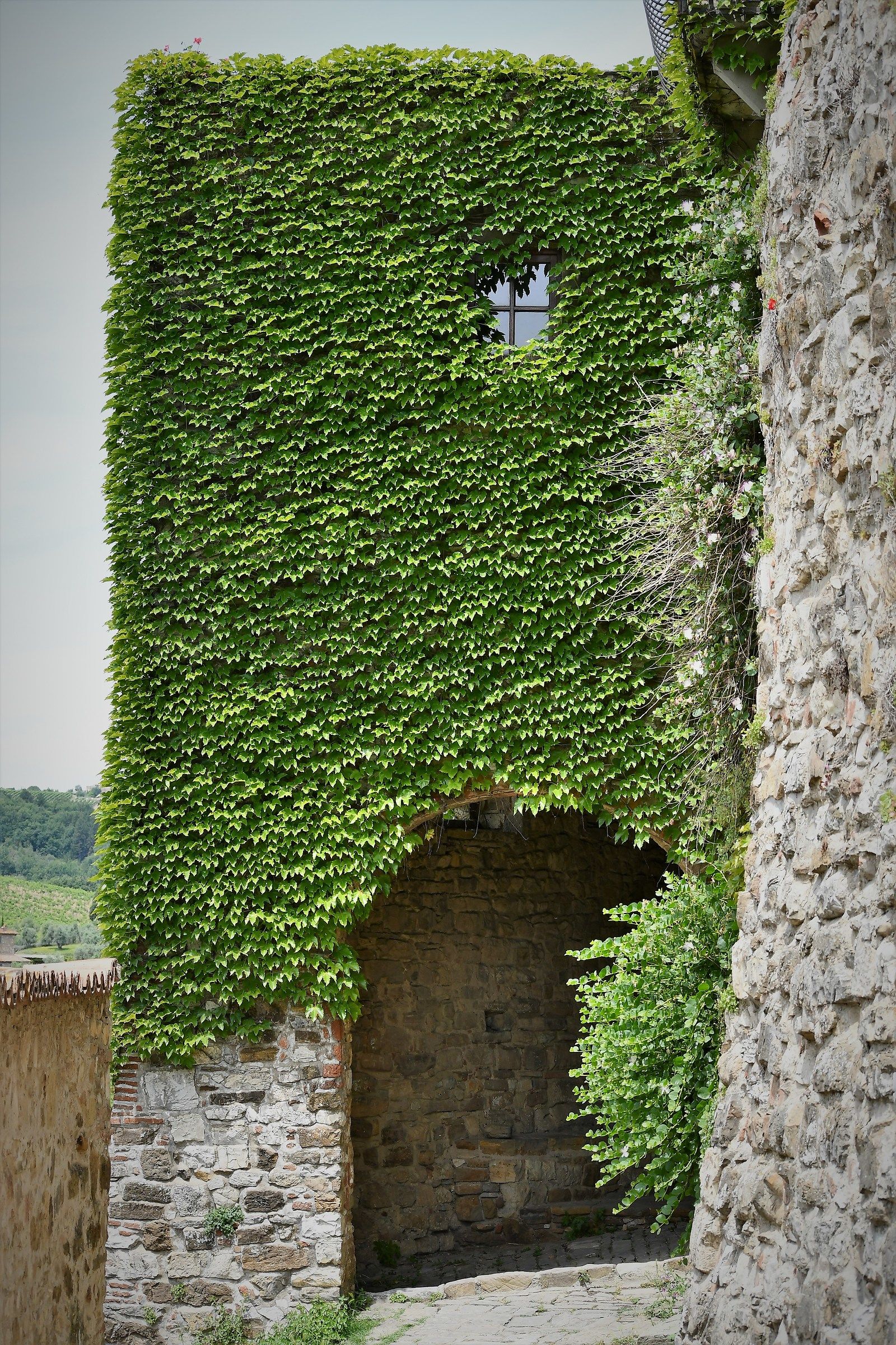 montefioralle vicino firenze