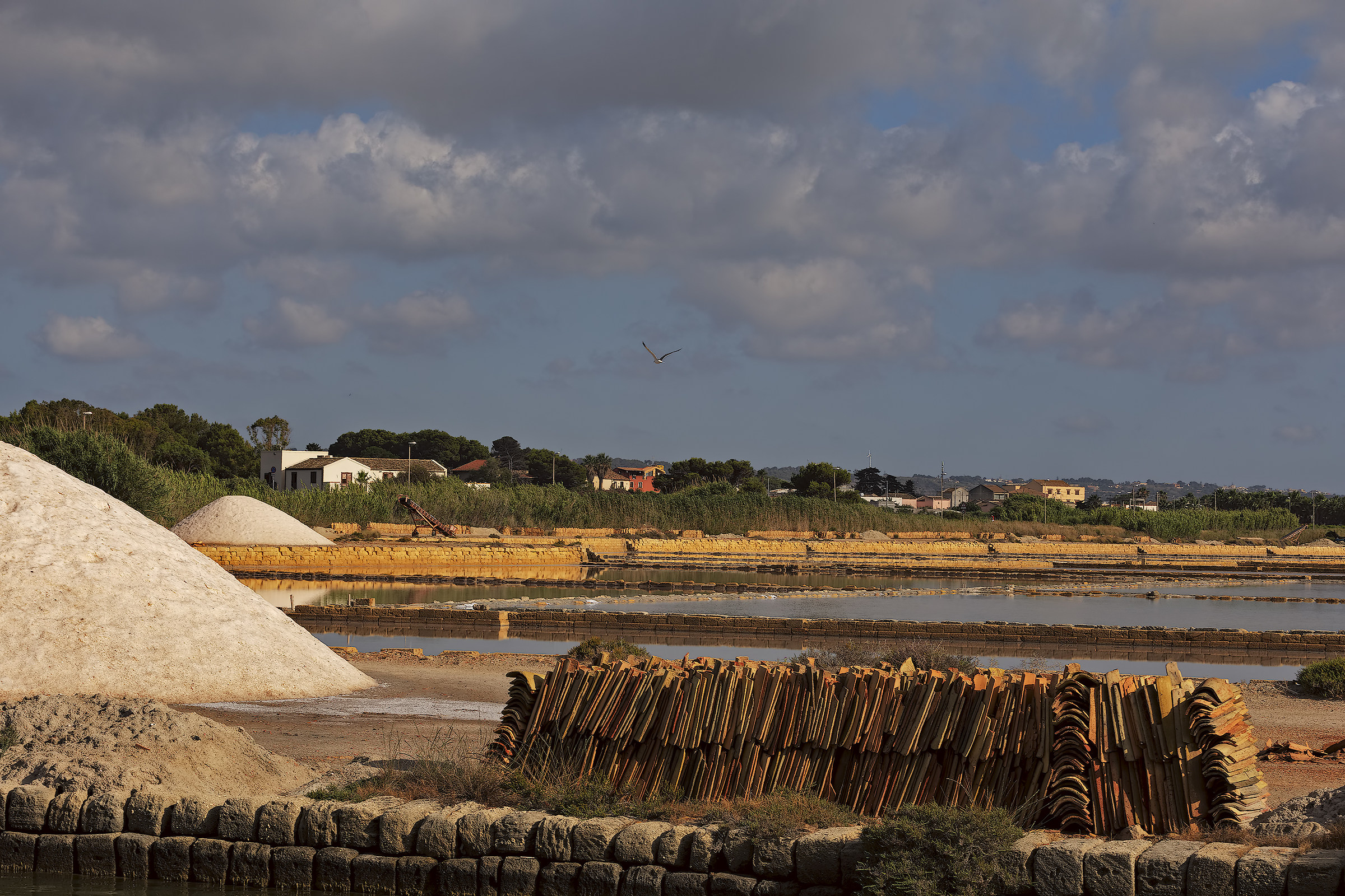 La raccolta del sale (mozia)