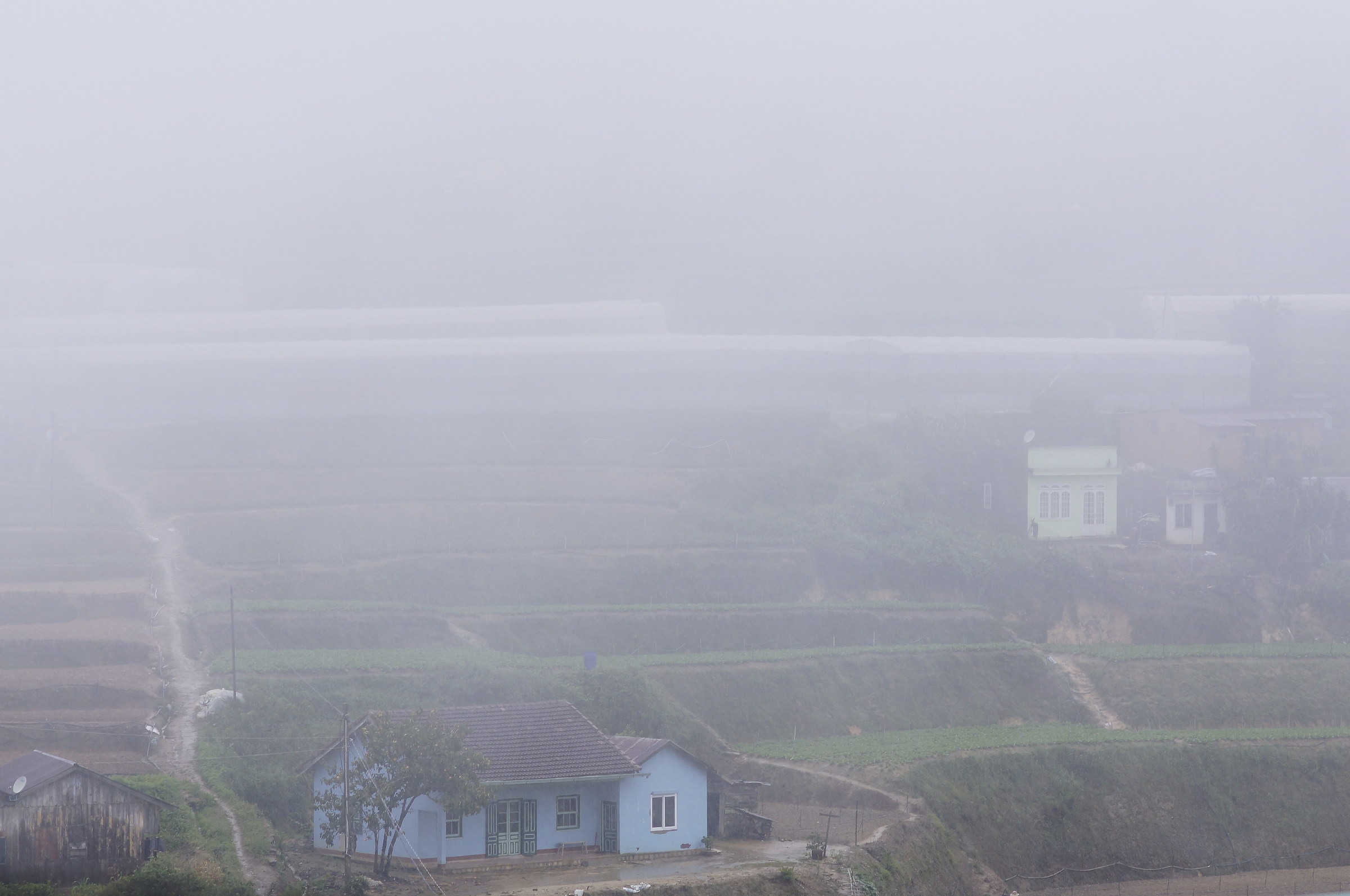 Dalat nella nebbia