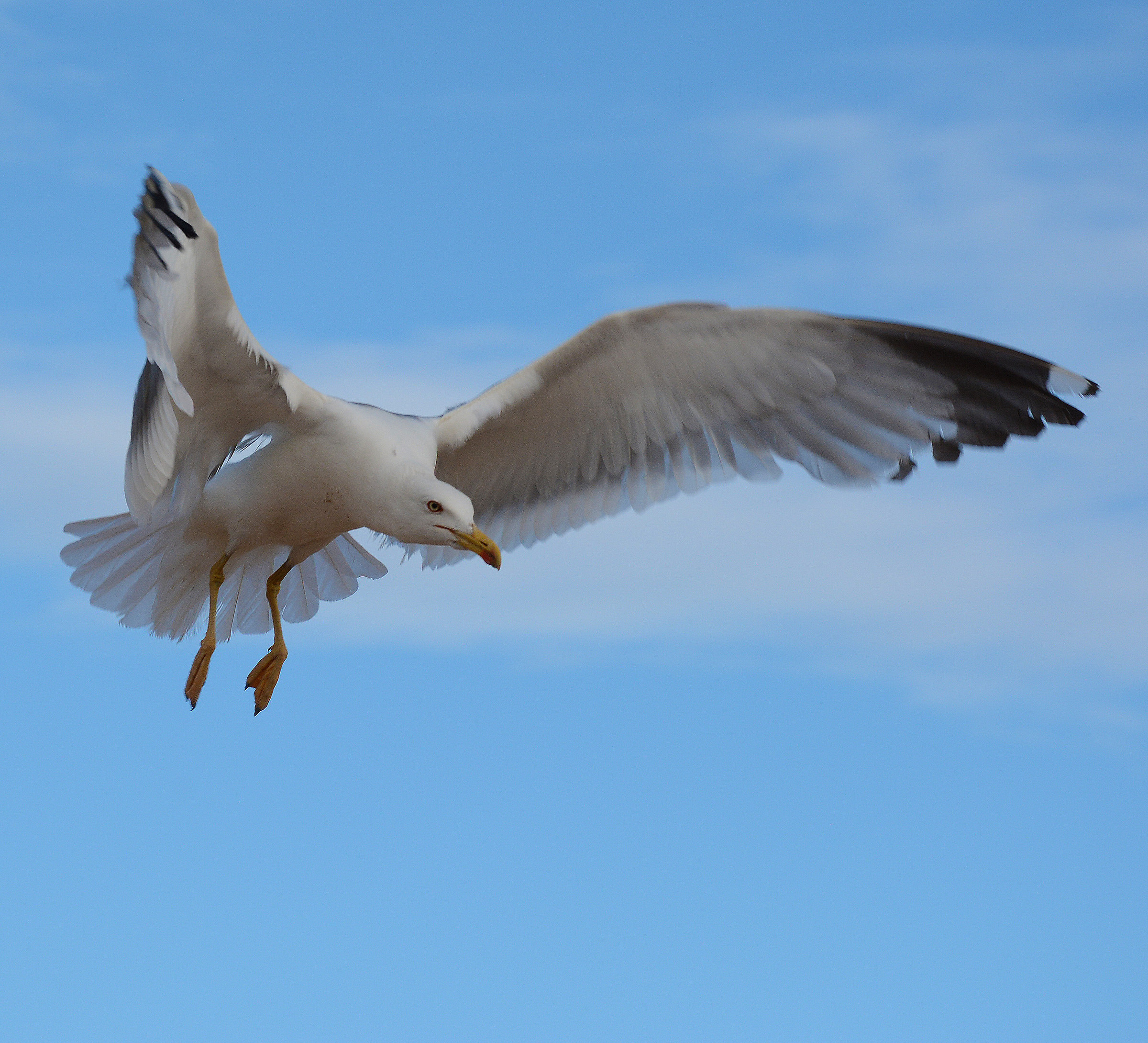 In fase di atterraggio