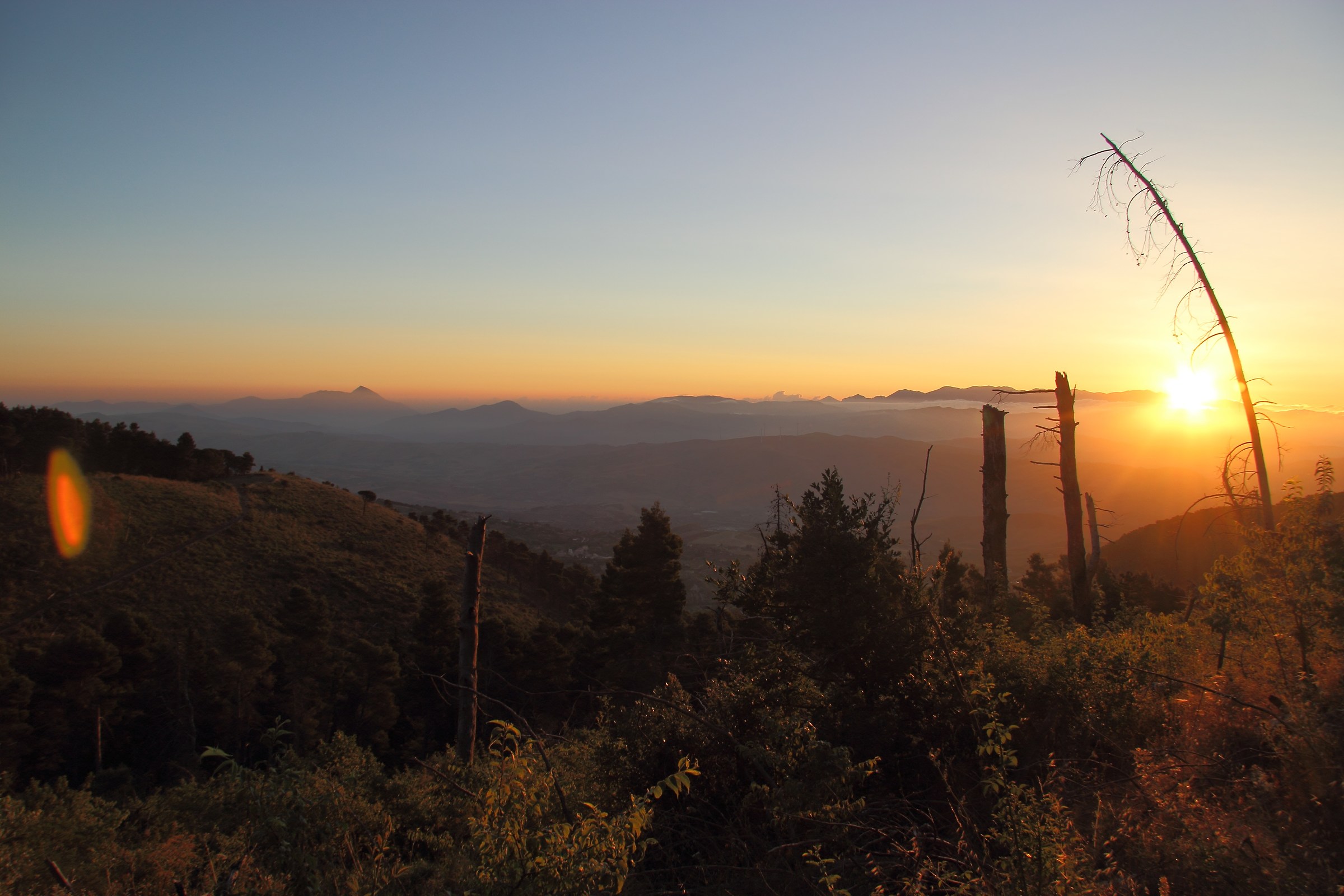 la rossa alba sicana