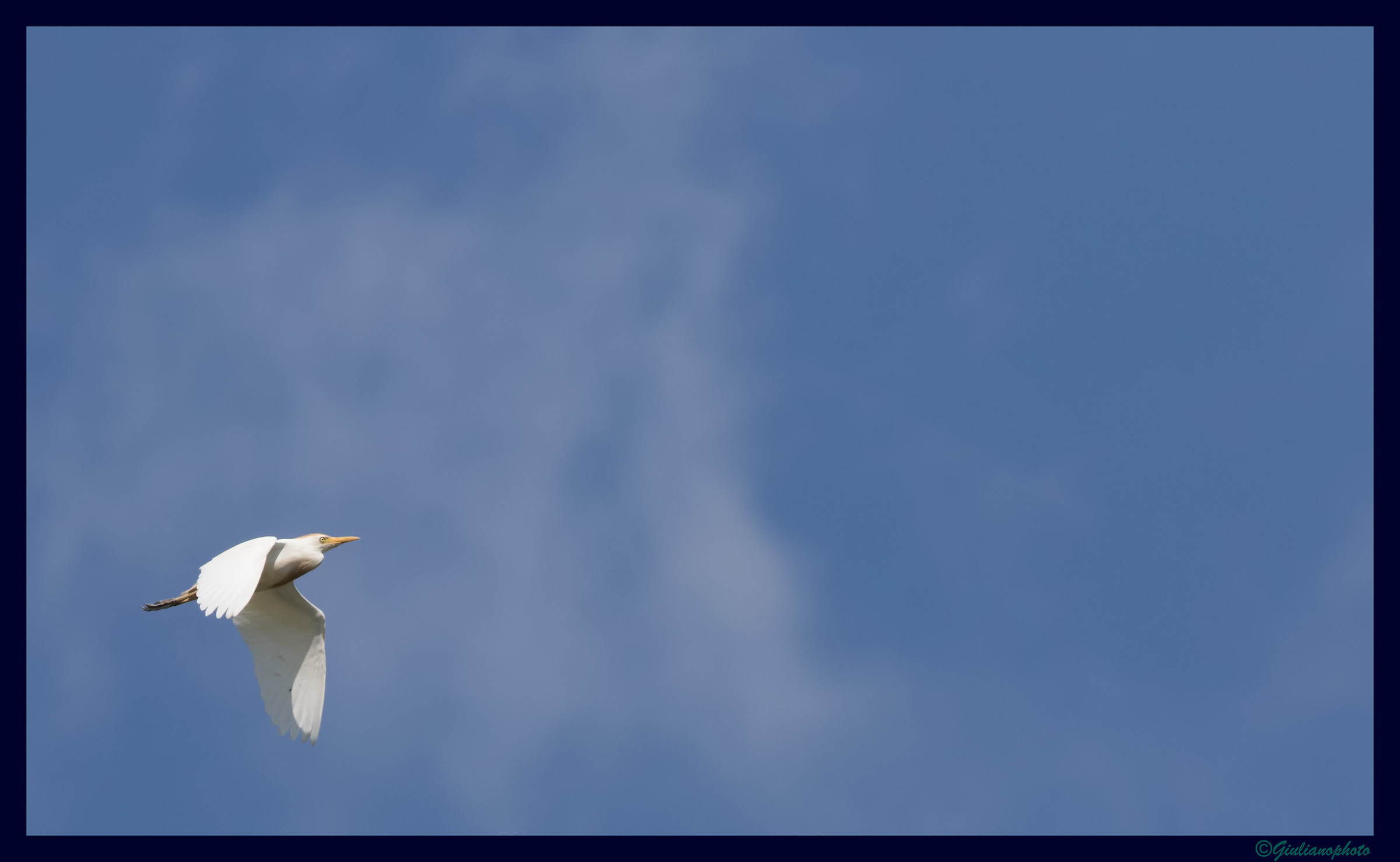 Flying in the blue.....