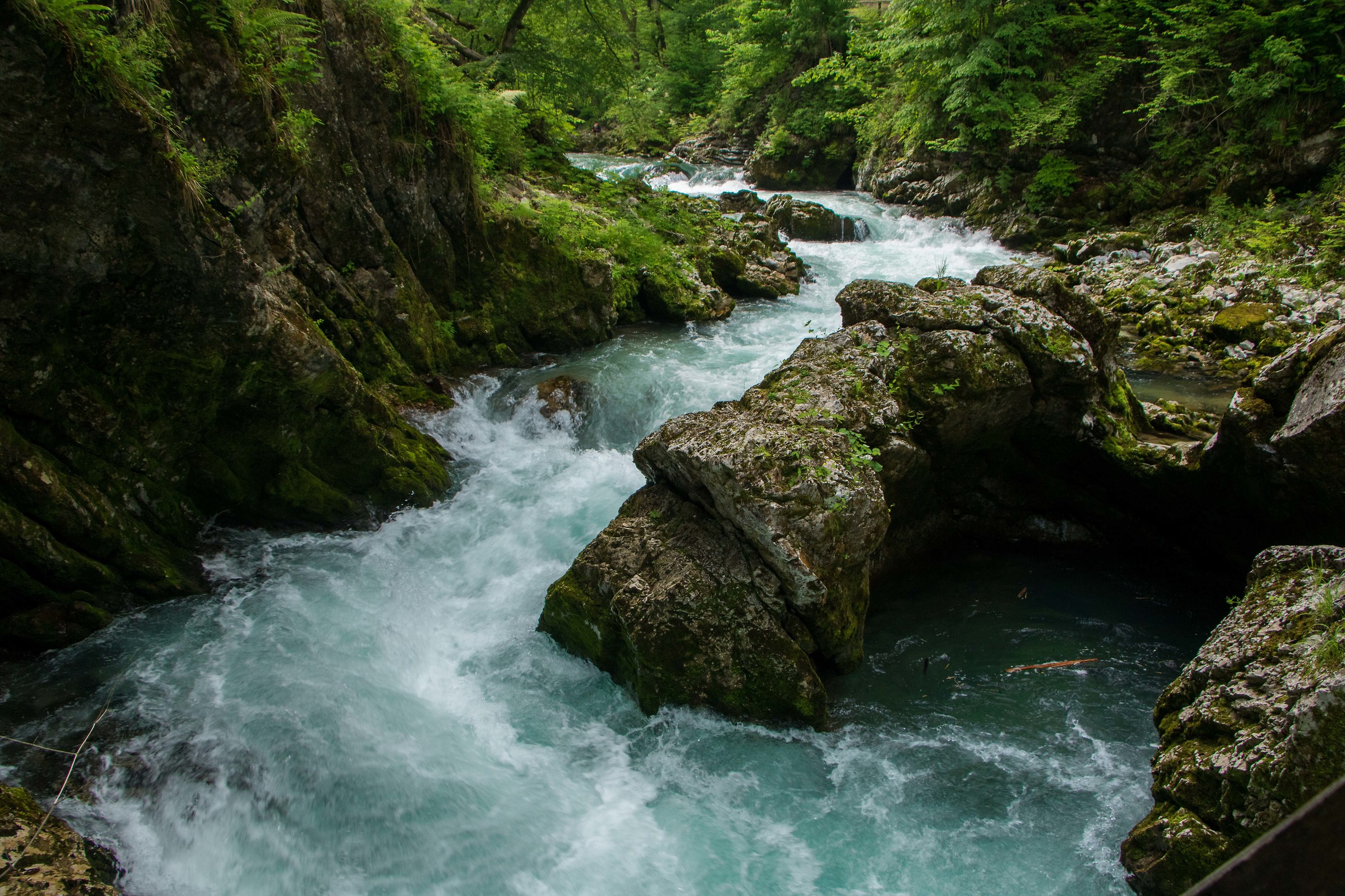 Vintgar Gorge