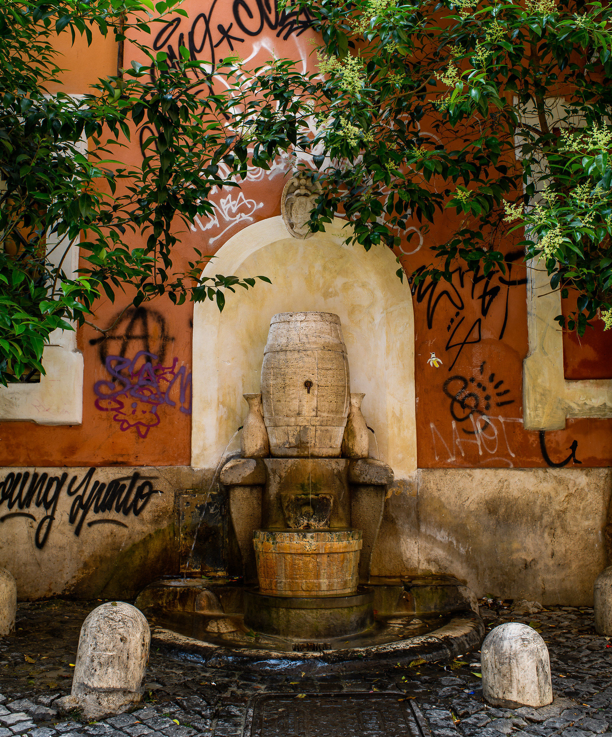 Roma Trastevere-Fontana della Botte