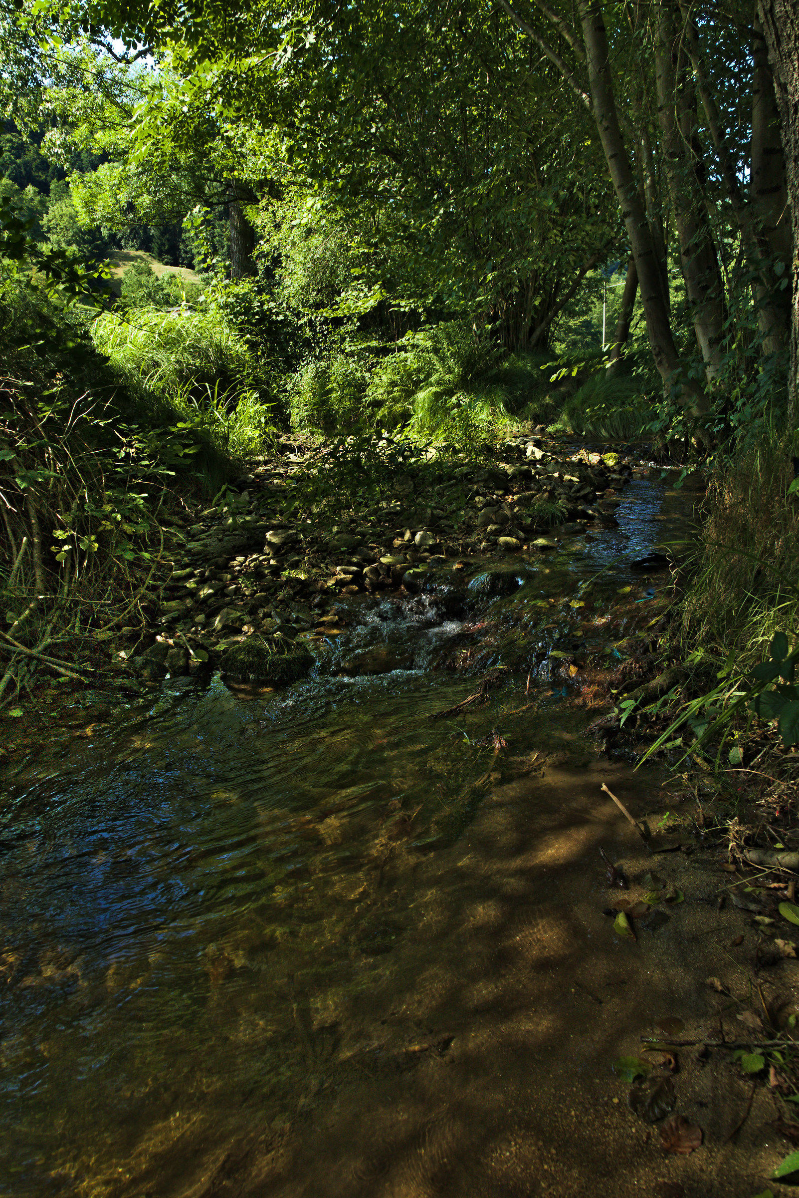 Il torrente delle Damigelle Danzanti....