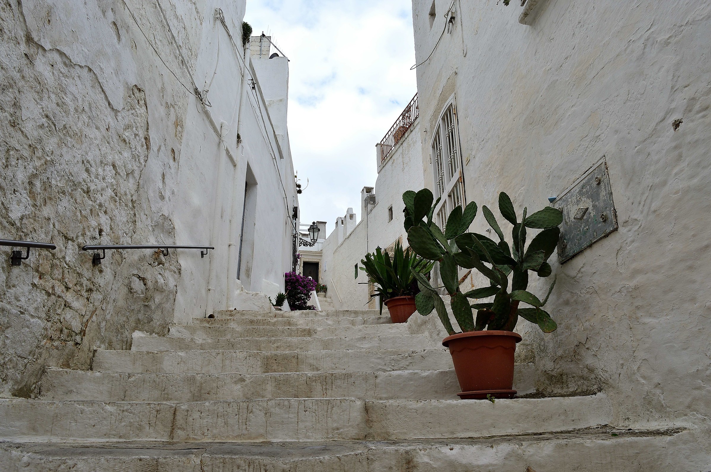 La purezza del bianco