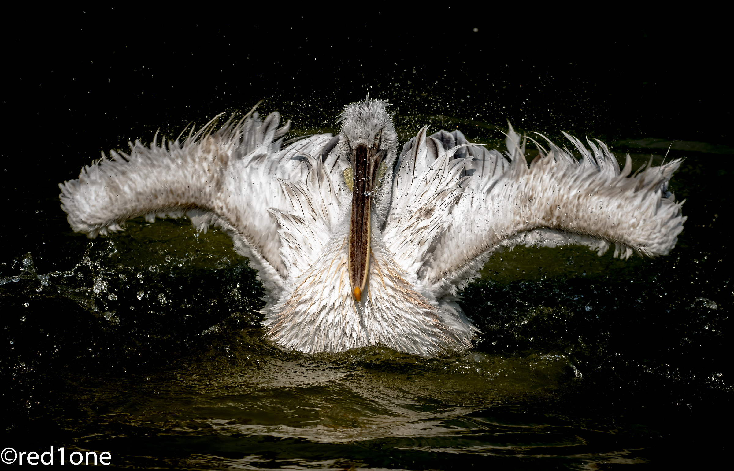 Under the light of the sunset