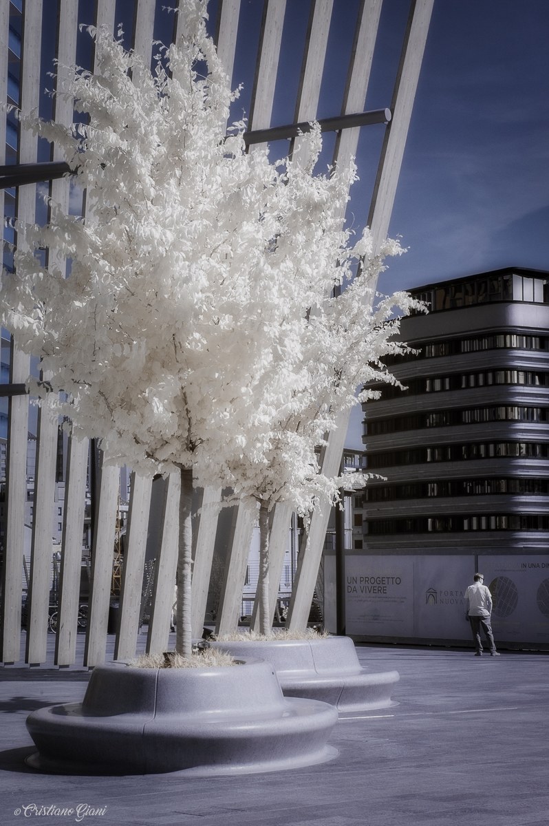 ' ' A project to be lived ' '