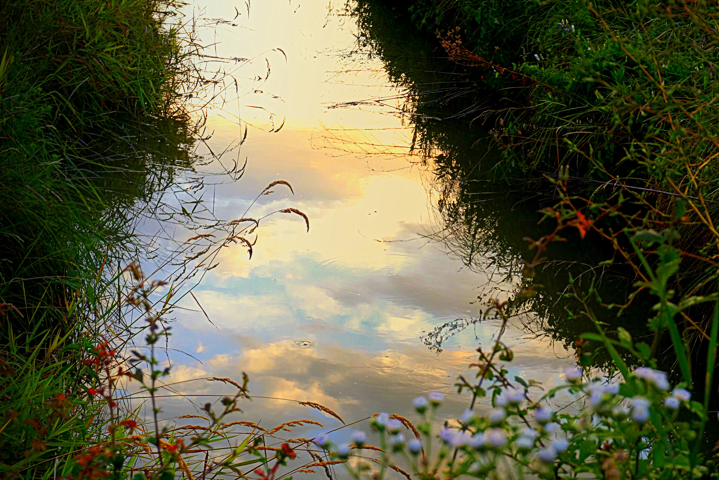 Where the sky is mirrored