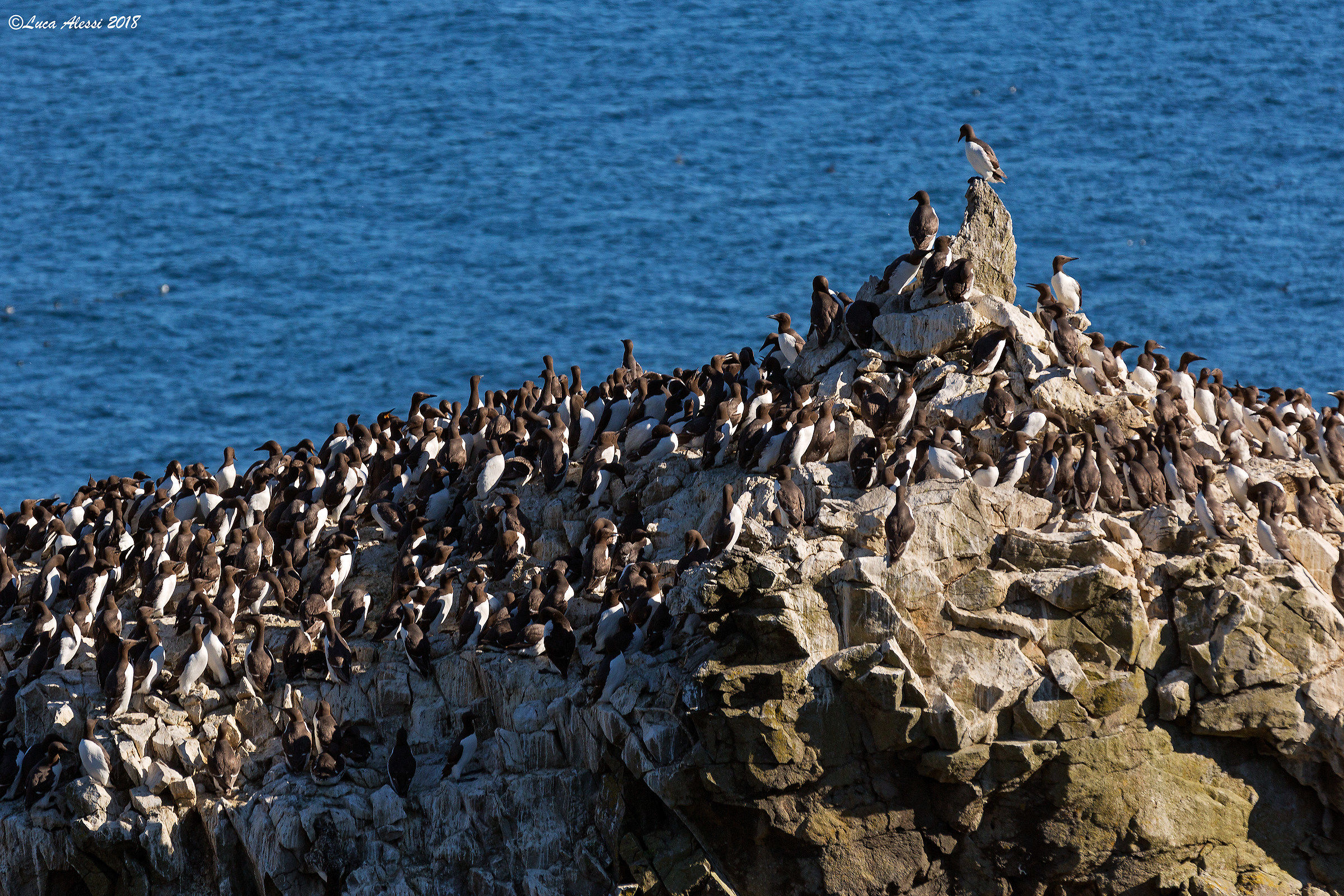 Riunione di condominio