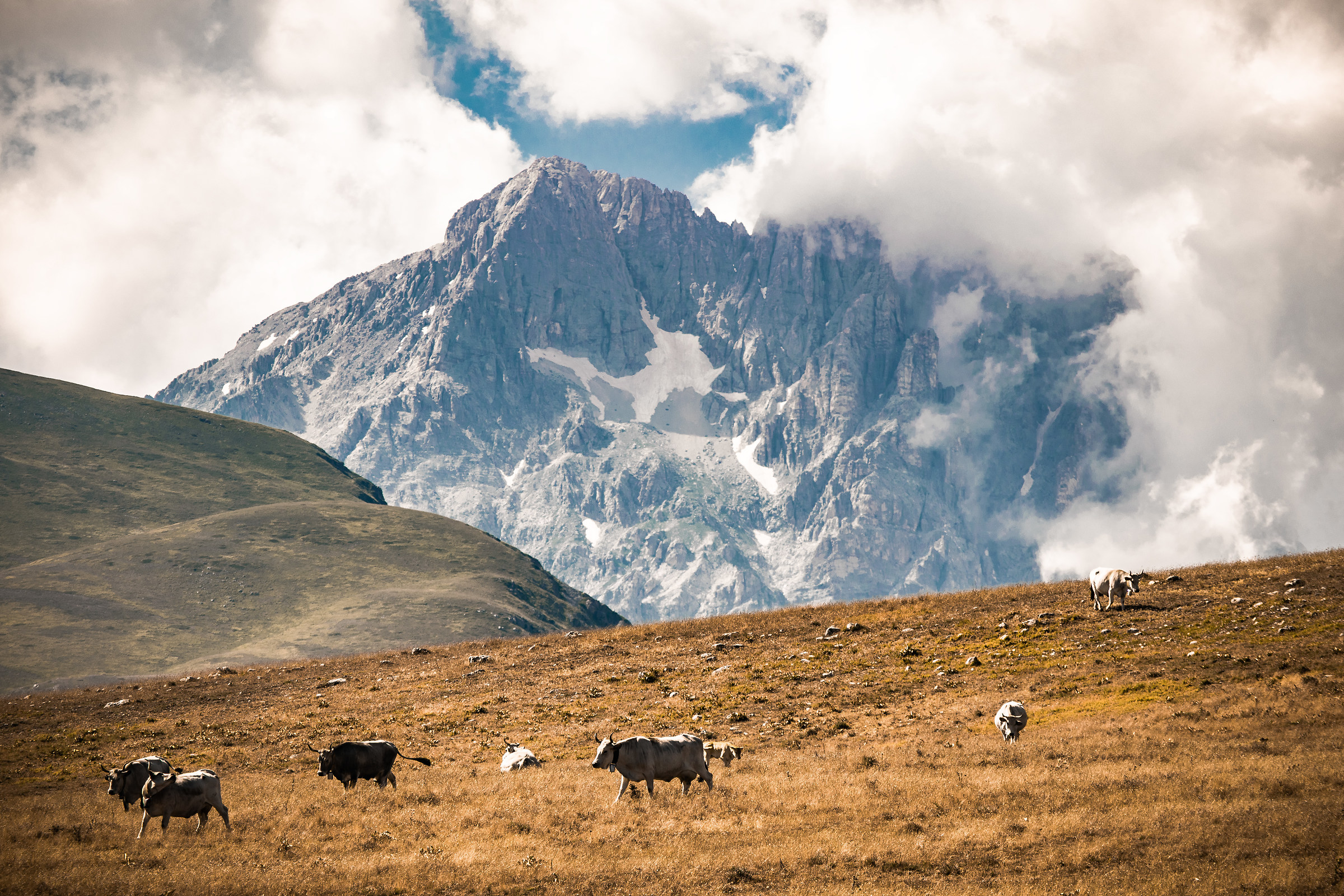 Il lento scorrere della vita