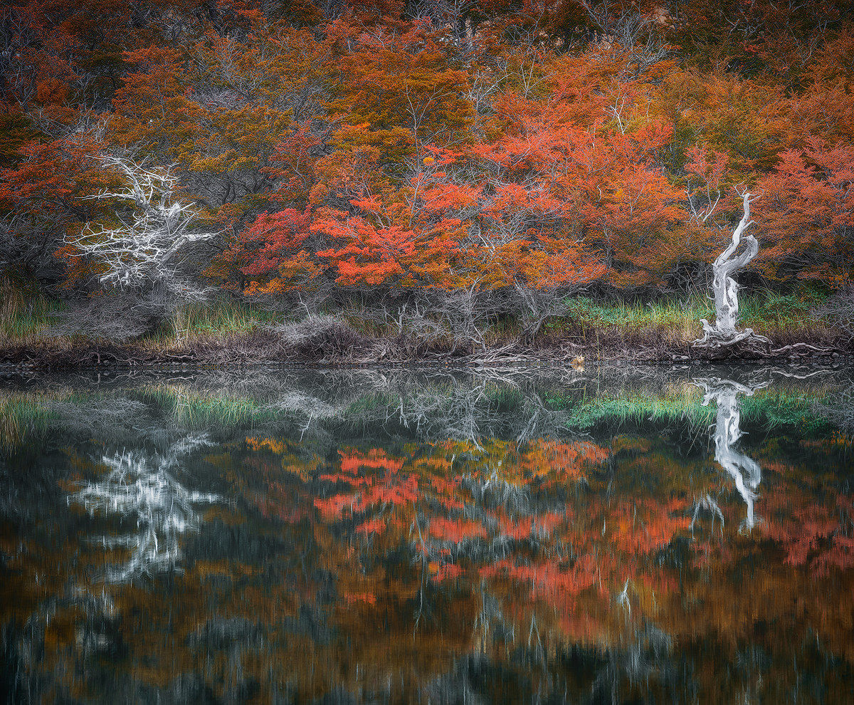 Autumn Mirror