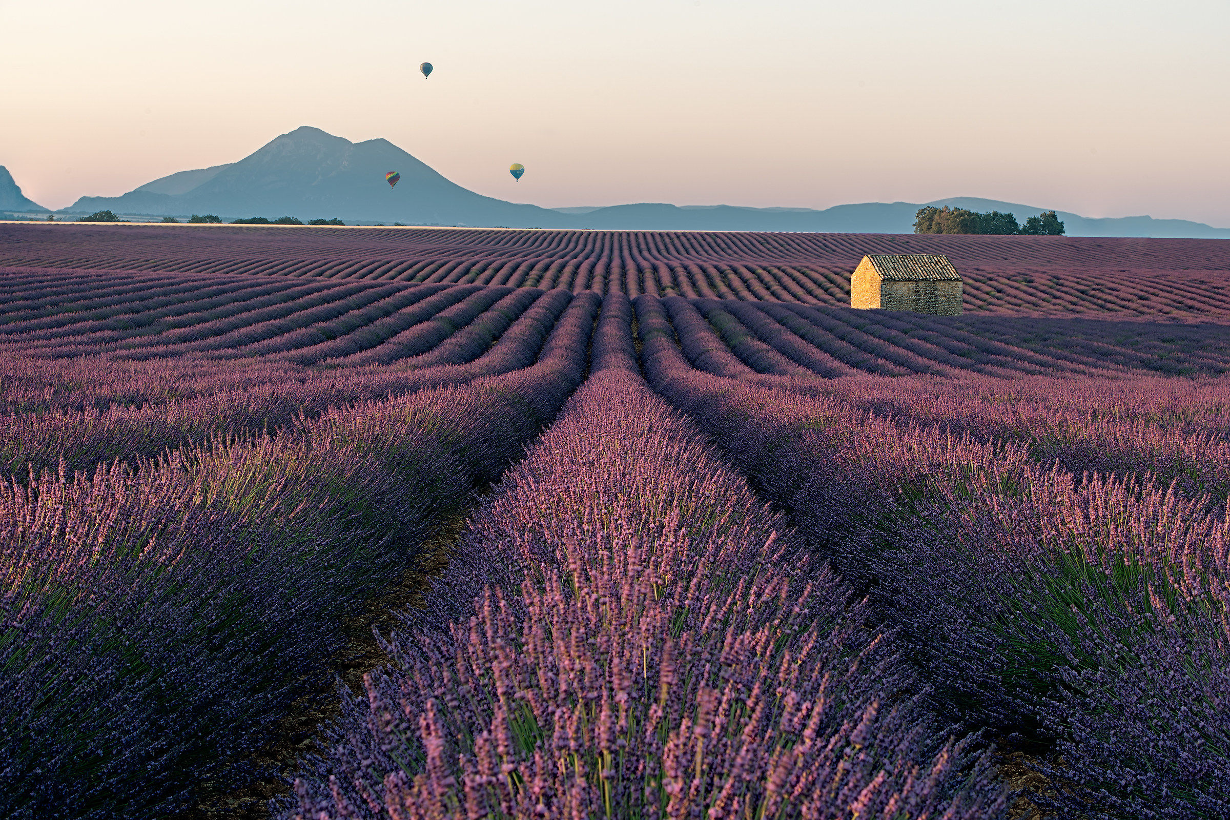 Gone with the Wind... in Provence