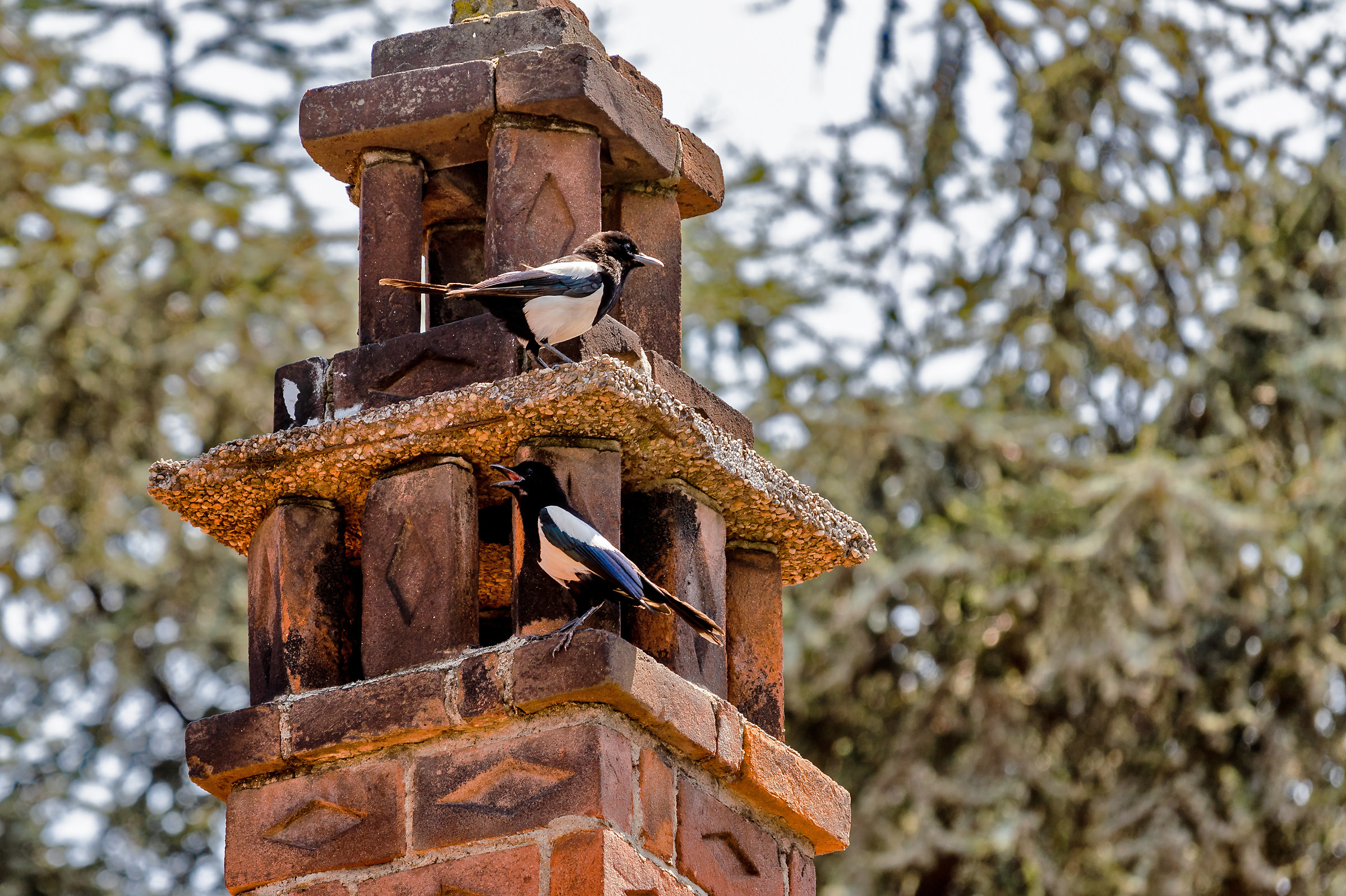 Sono qua sotto, non mi vedi?