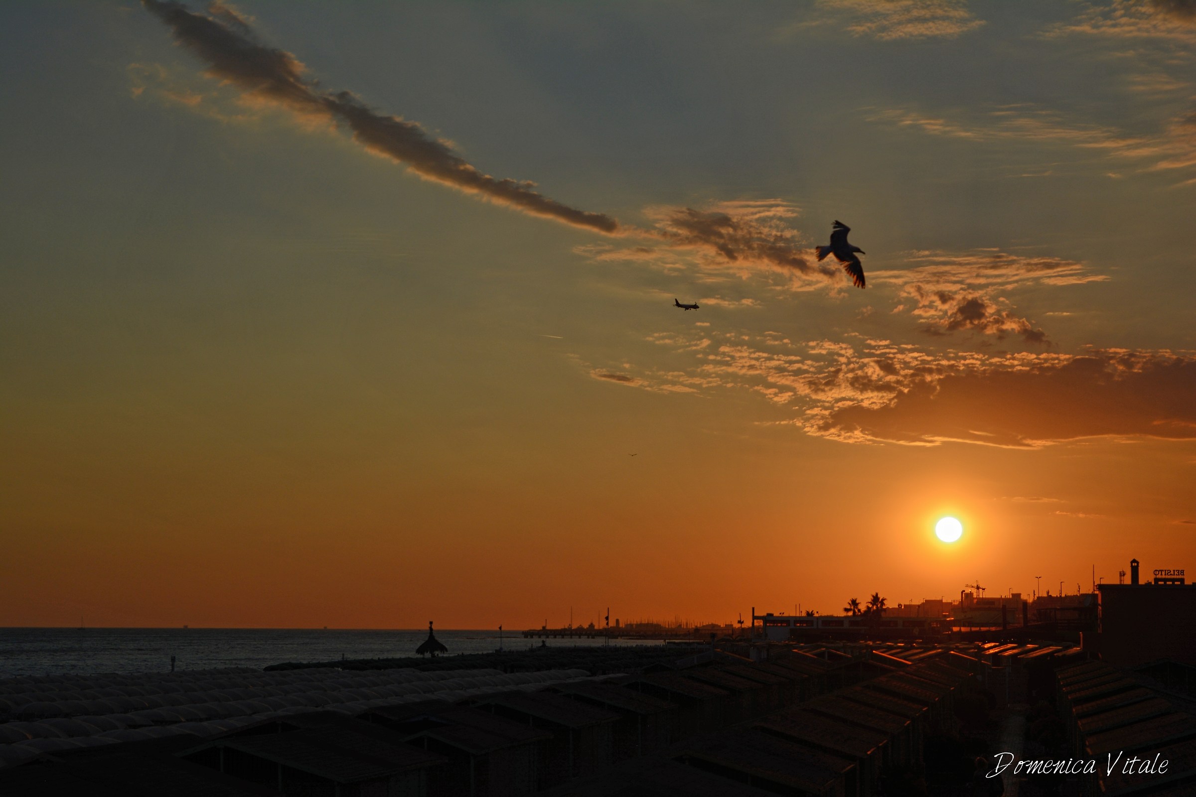 Le ali della libertà