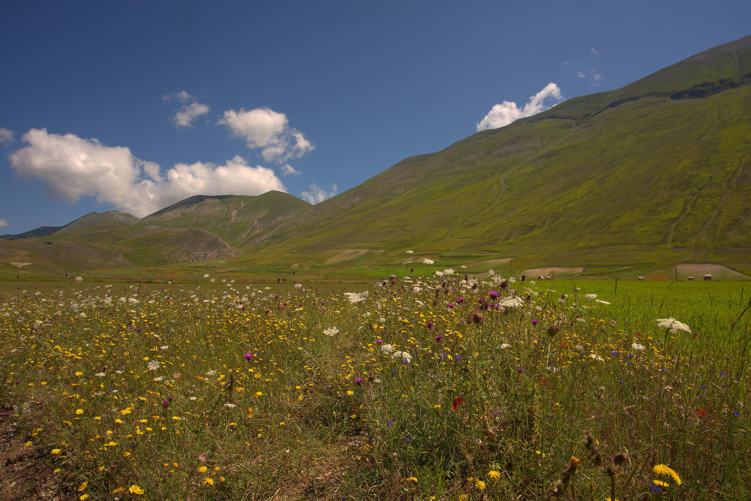 Castelluccio di Norcia