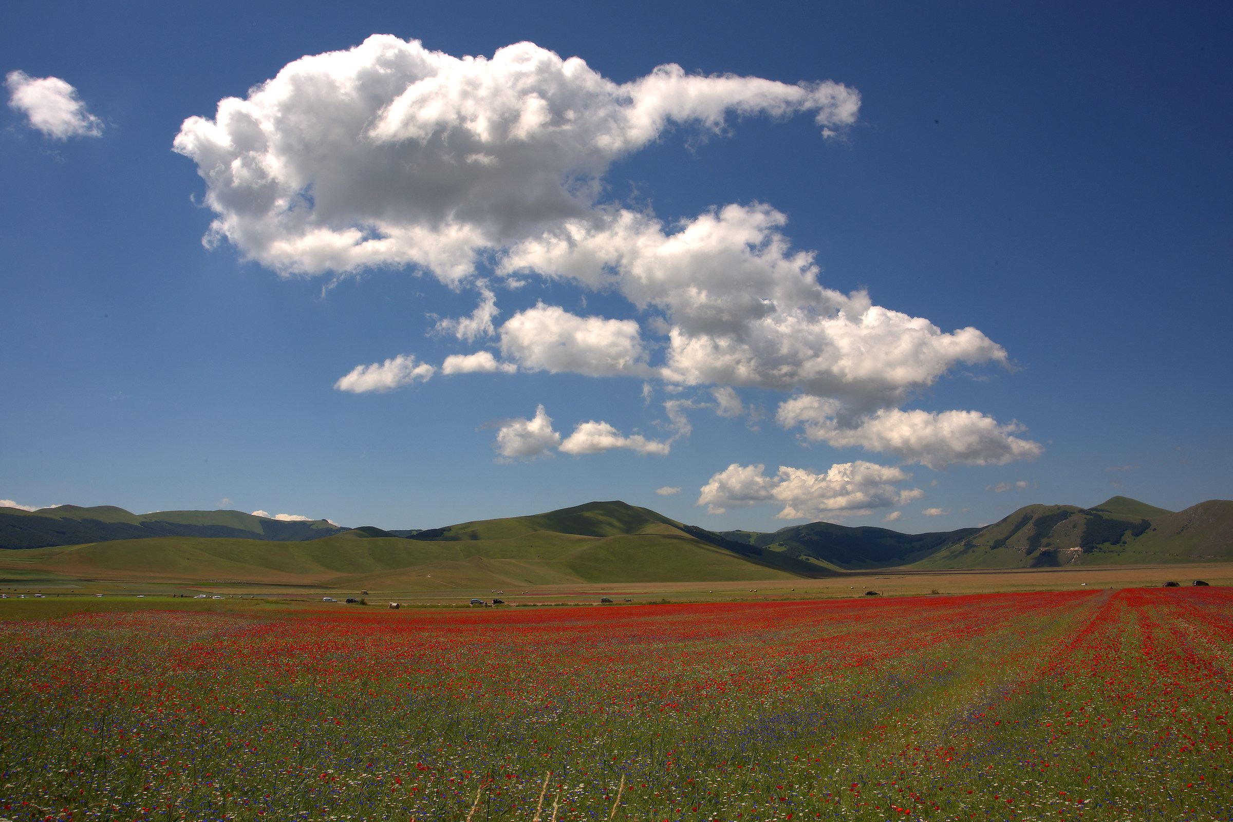 Castelluccio di Norcia