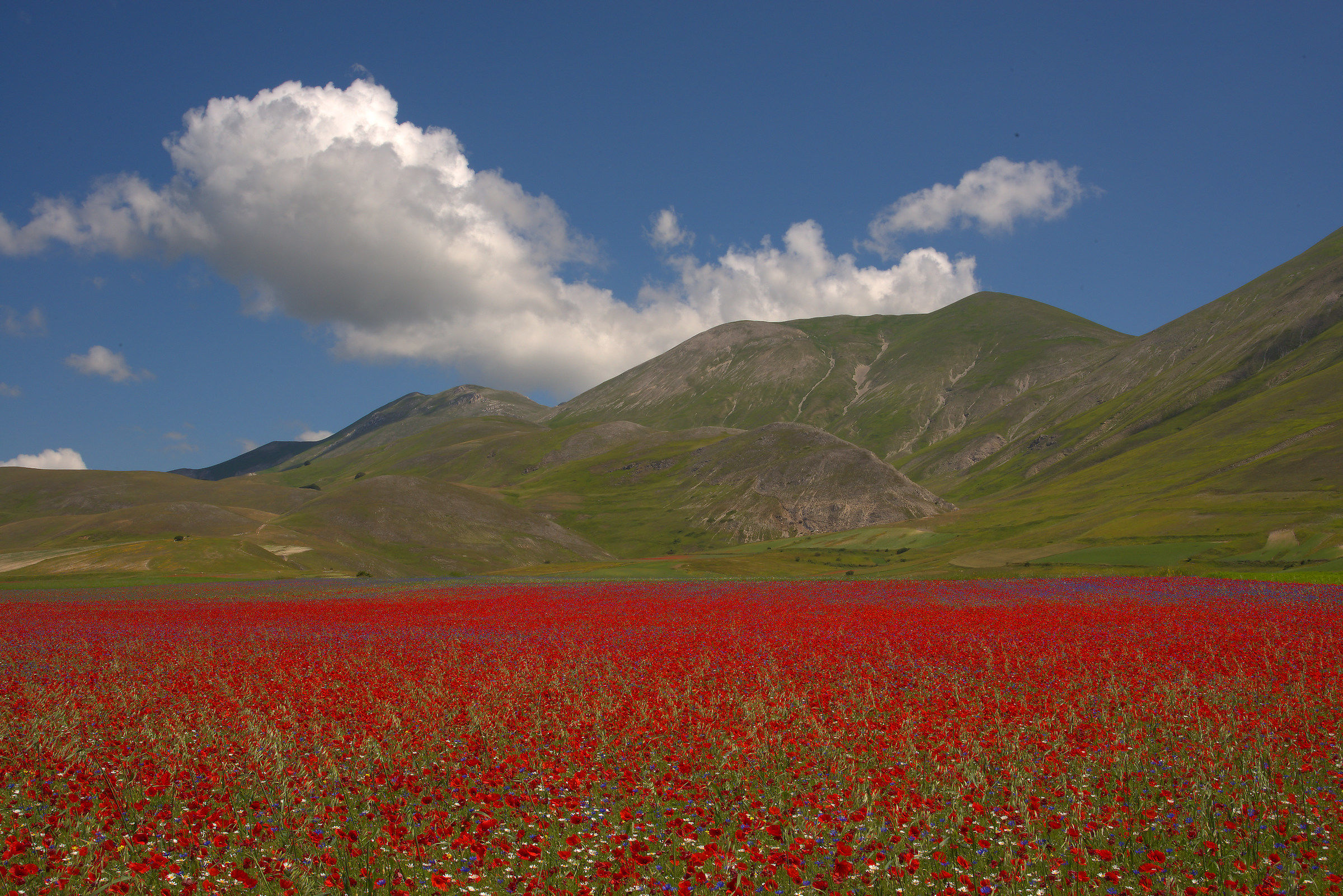 Castelluccio di Norcia
