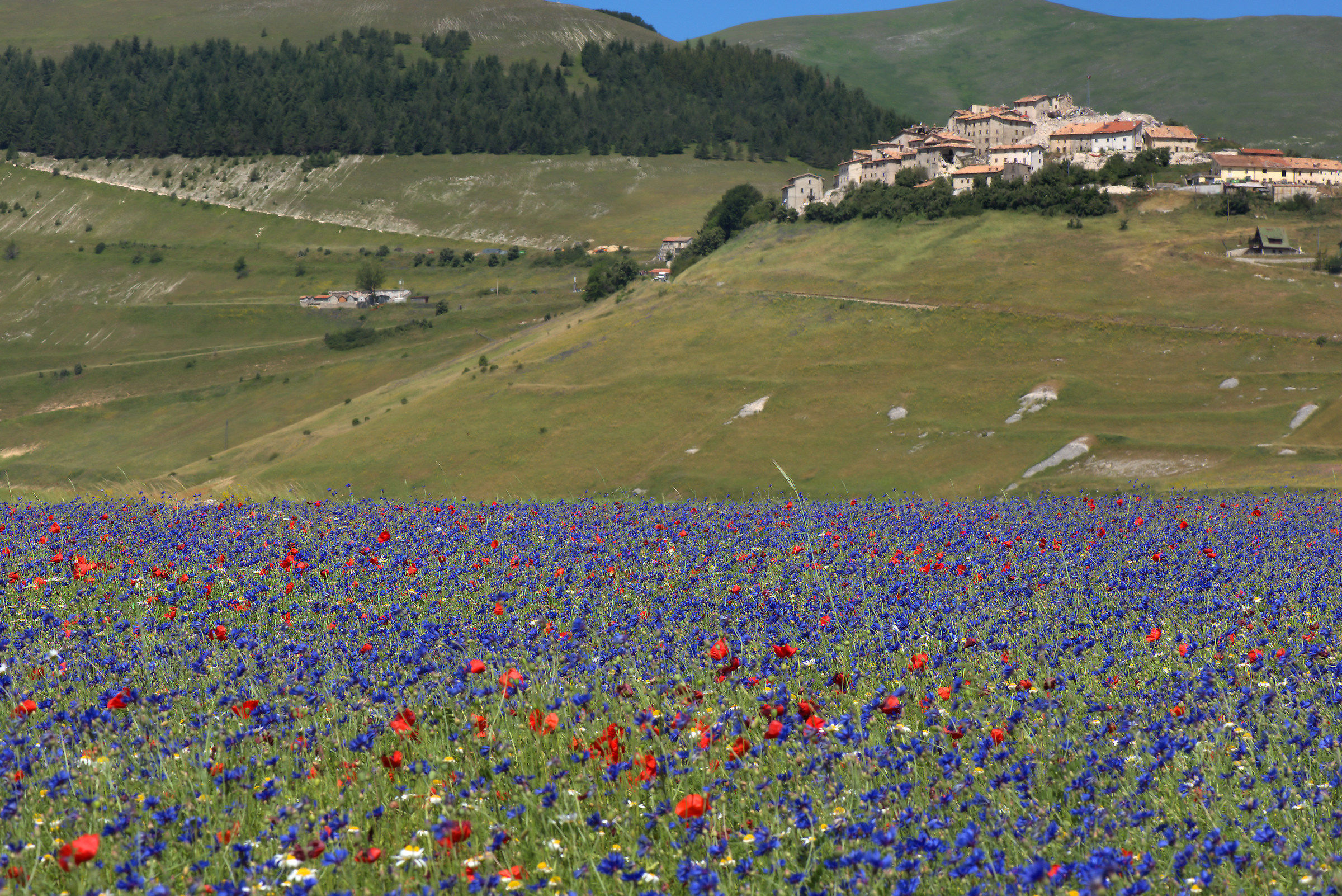 Castelluccio di Norcia