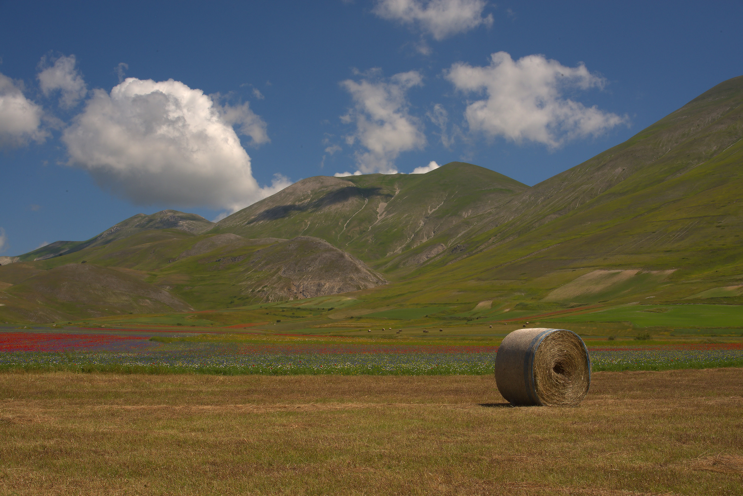 Castelluccio di Norcia