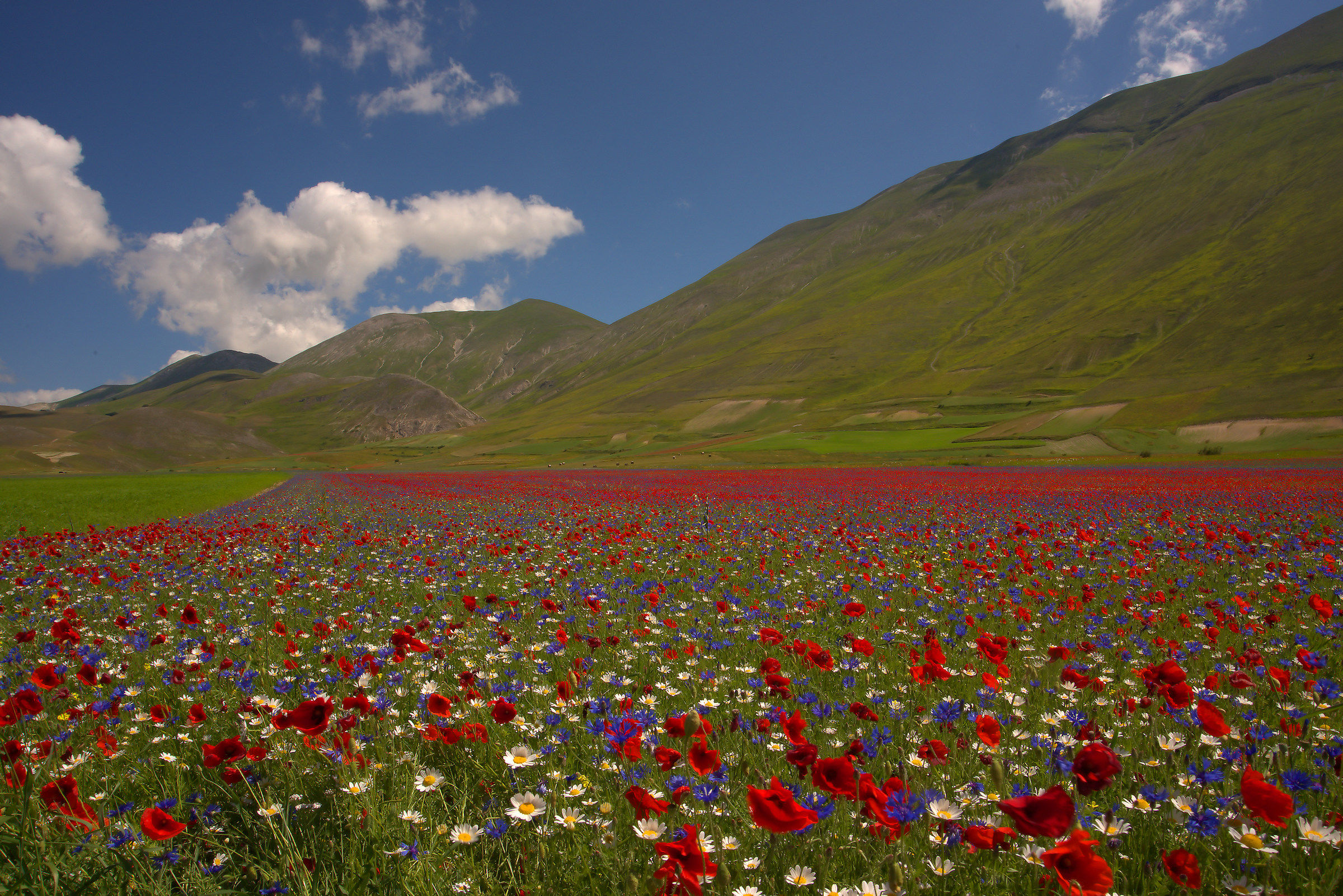Castelluccio di Norcia