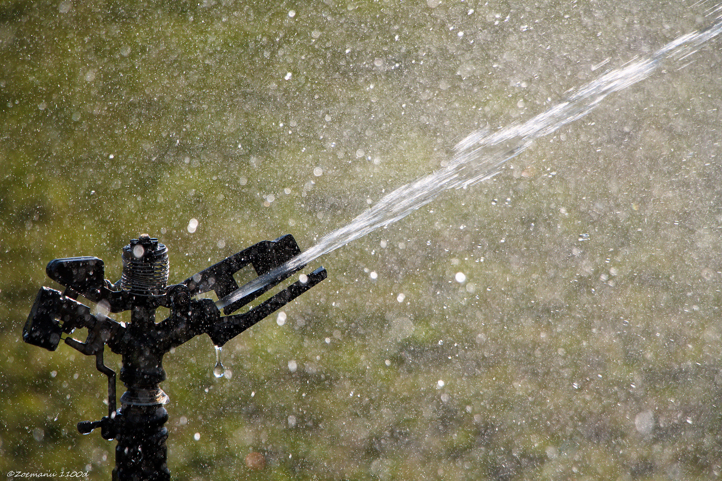 Summer and water games