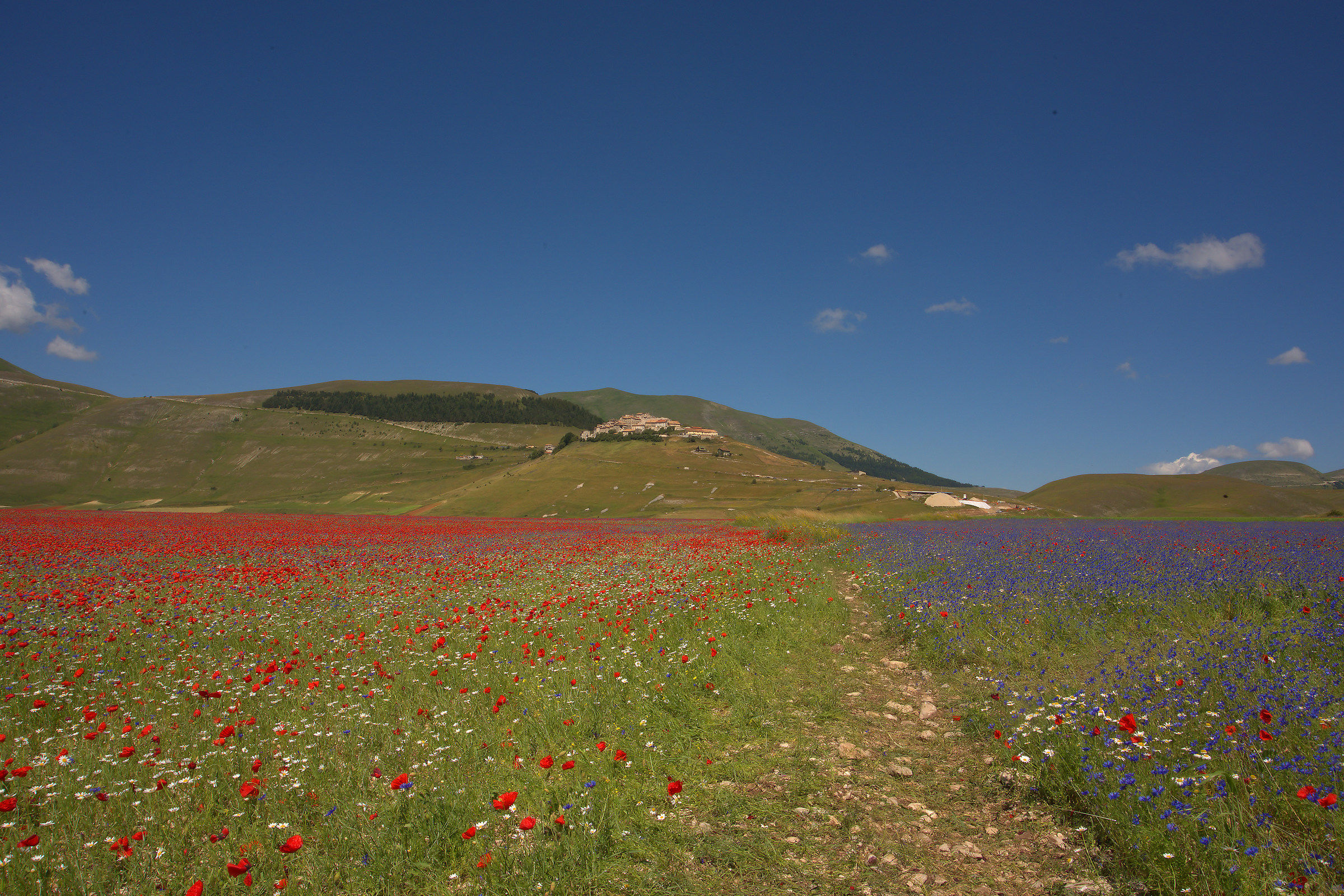 Castelluccio di Norcia
