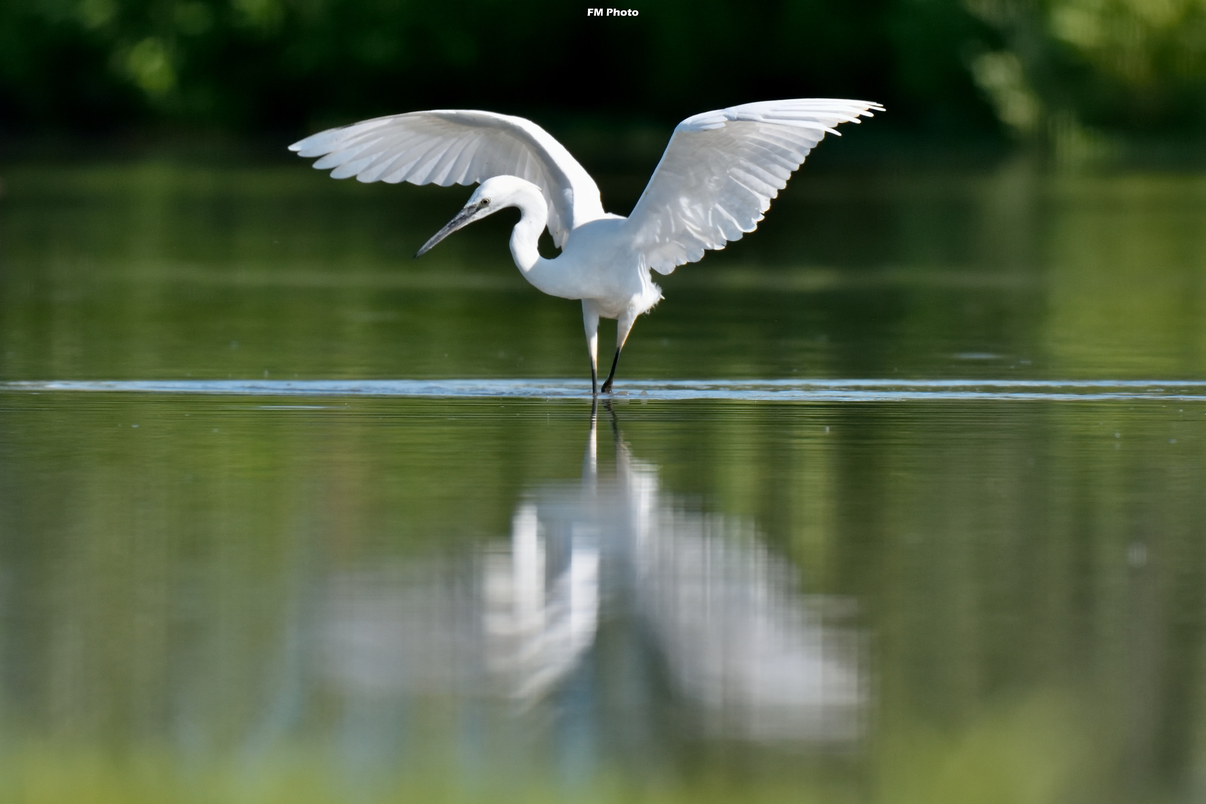 Dancing on the Water