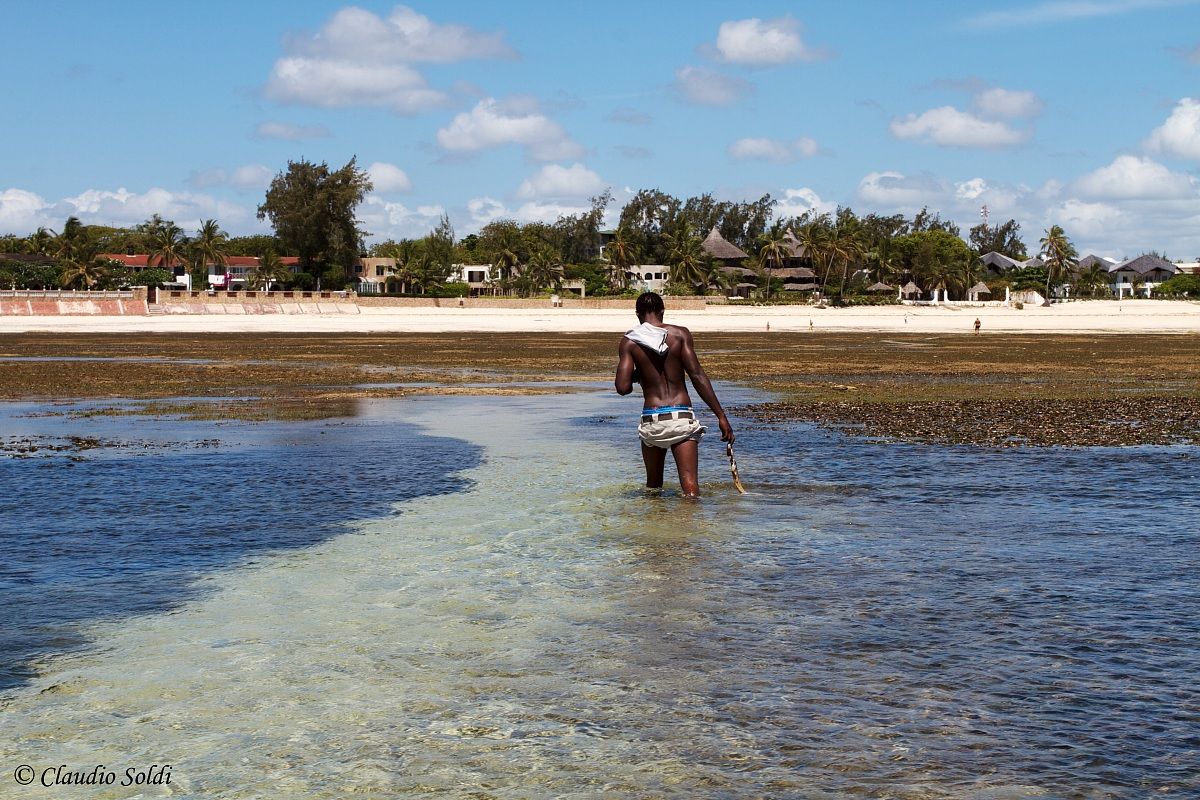 Malindi - barriera corallina 2