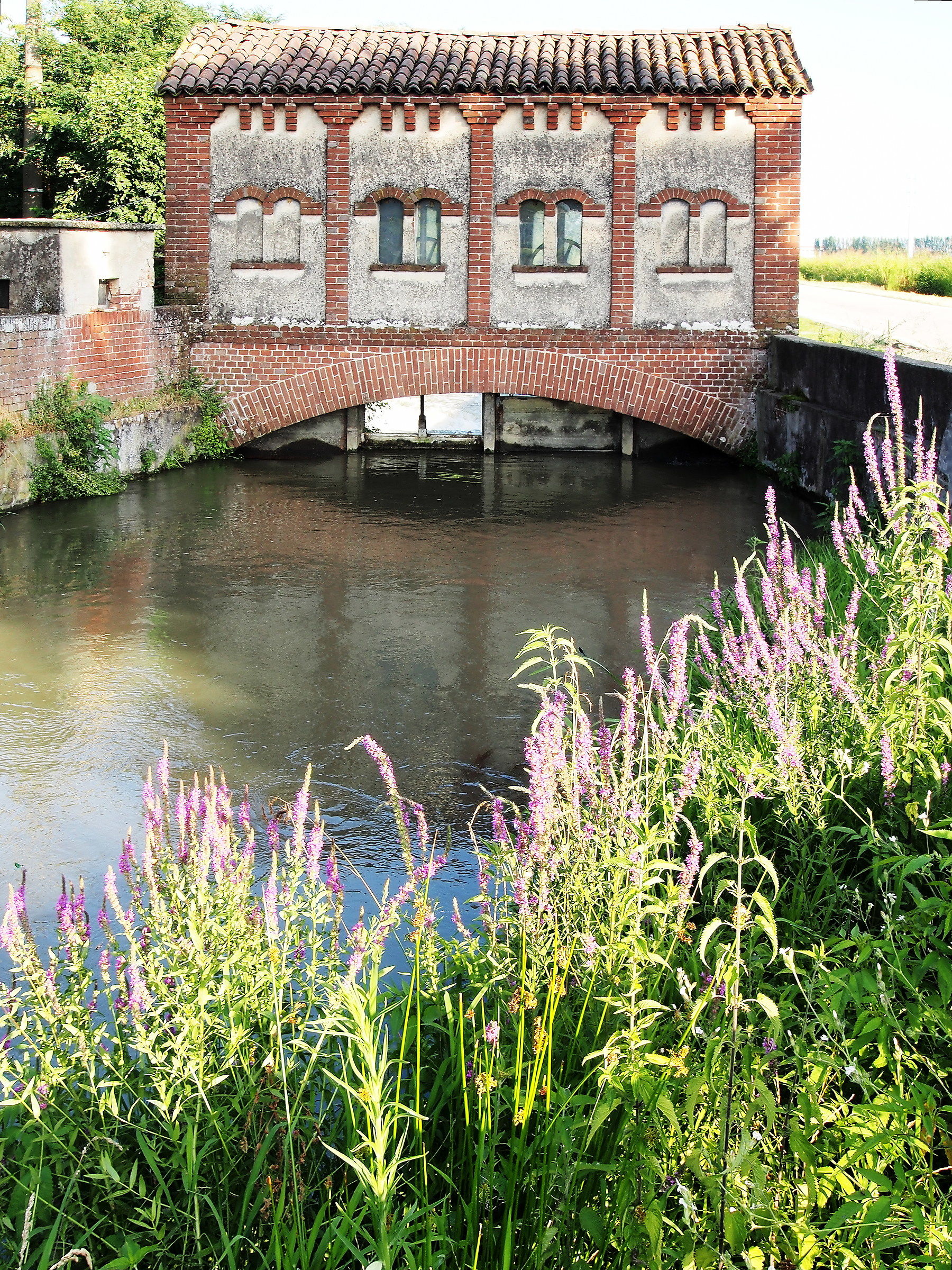 Roggia Busca, Robbio