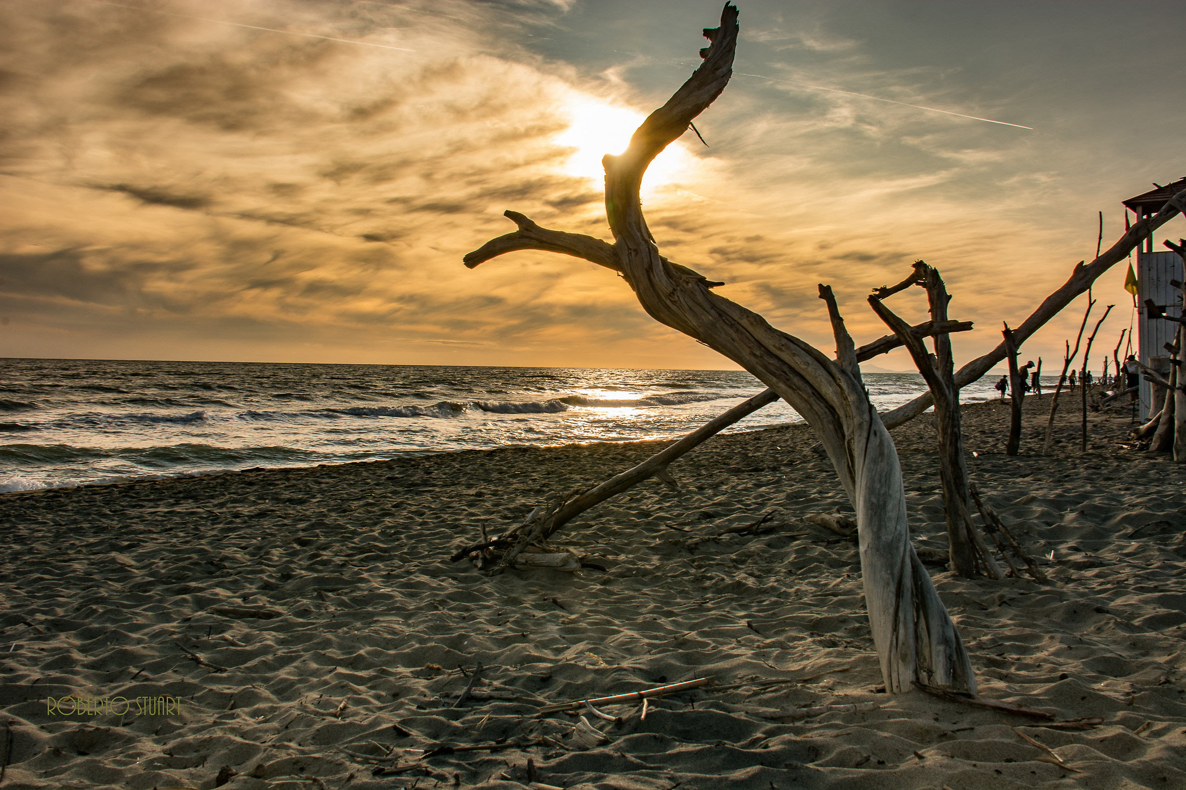 Grosseto, the bird Park