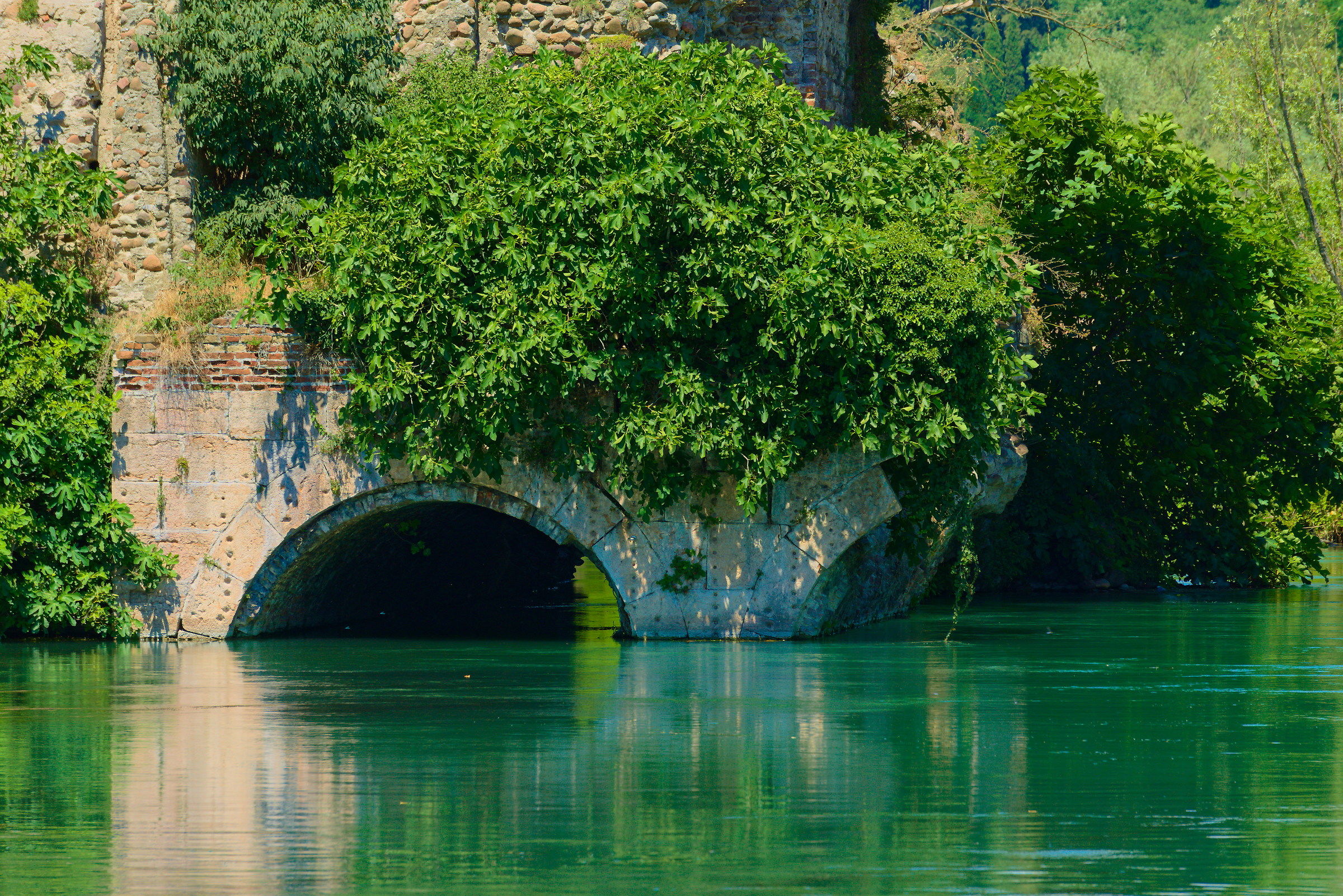 il Mincio a Borghetto - 1